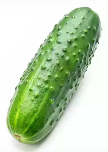 Ultra-Realistic Cucumber 3D Model Vegetable Low-poly Low-poly 3D model