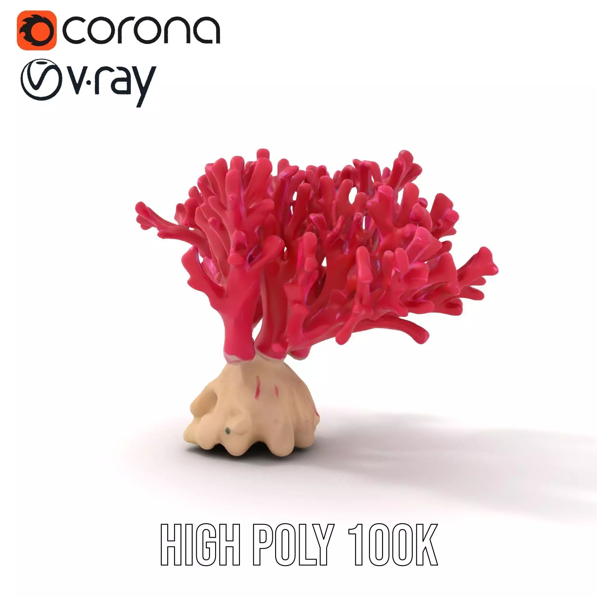 Vibrant Coral Reef model pack Low-poly 3D model_22
