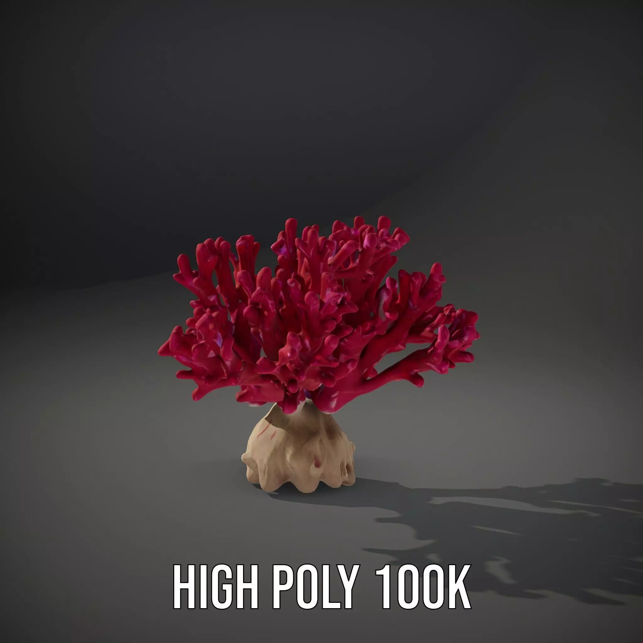 Vibrant Coral Reef model pack Low-poly 3D model_8