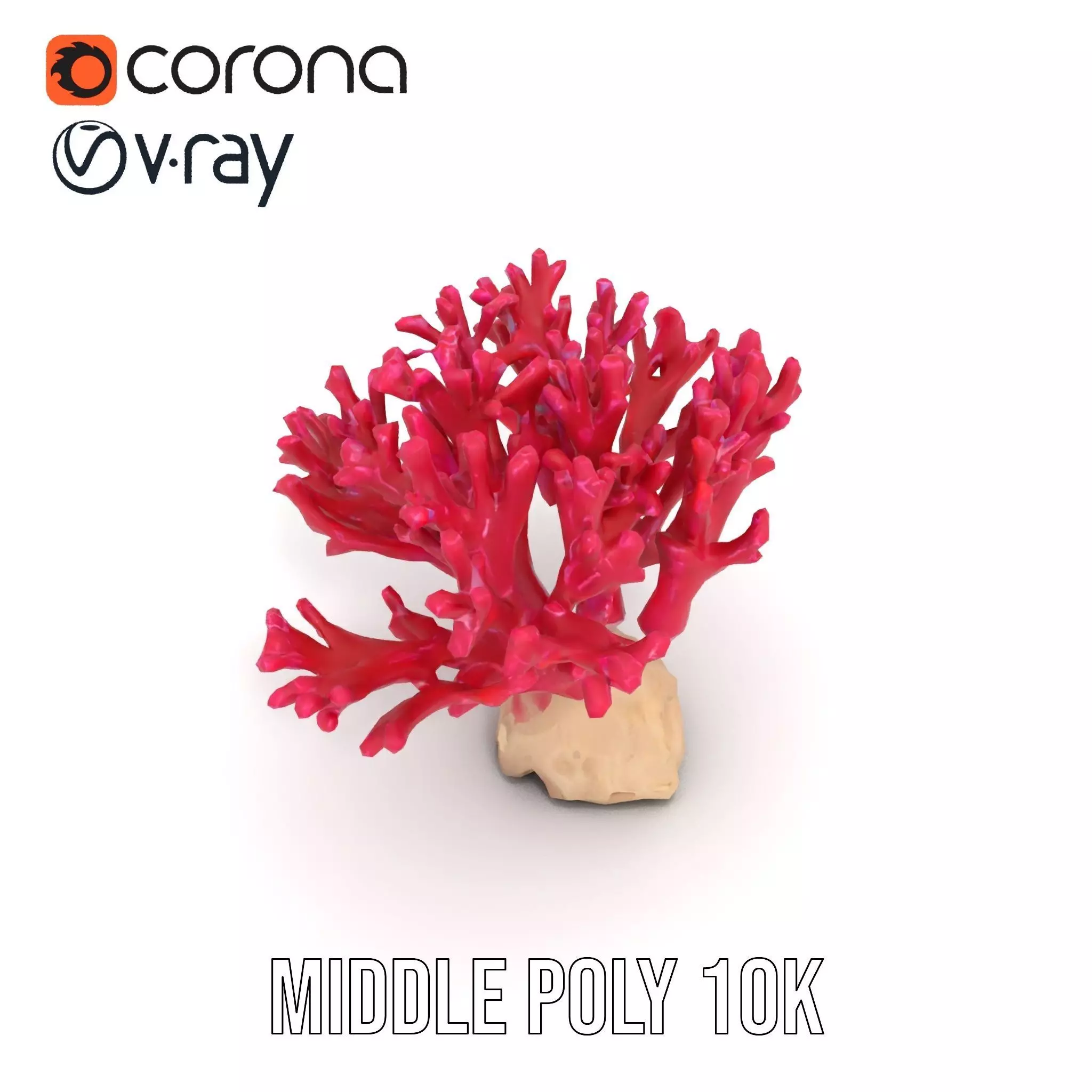Vibrant Coral Reef model pack Low-poly 3D model_11