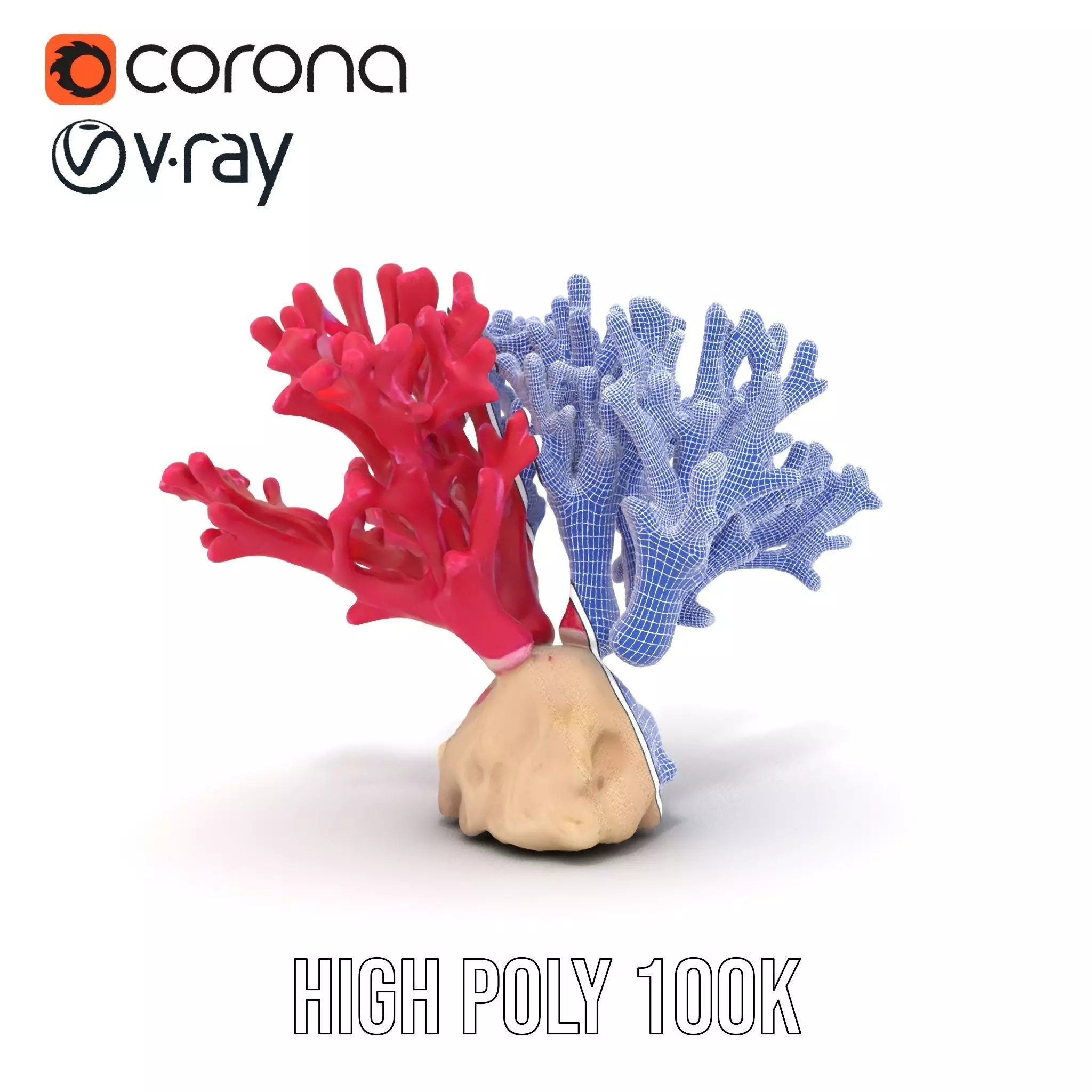 Vibrant Coral Reef model pack Low-poly 3D model_32