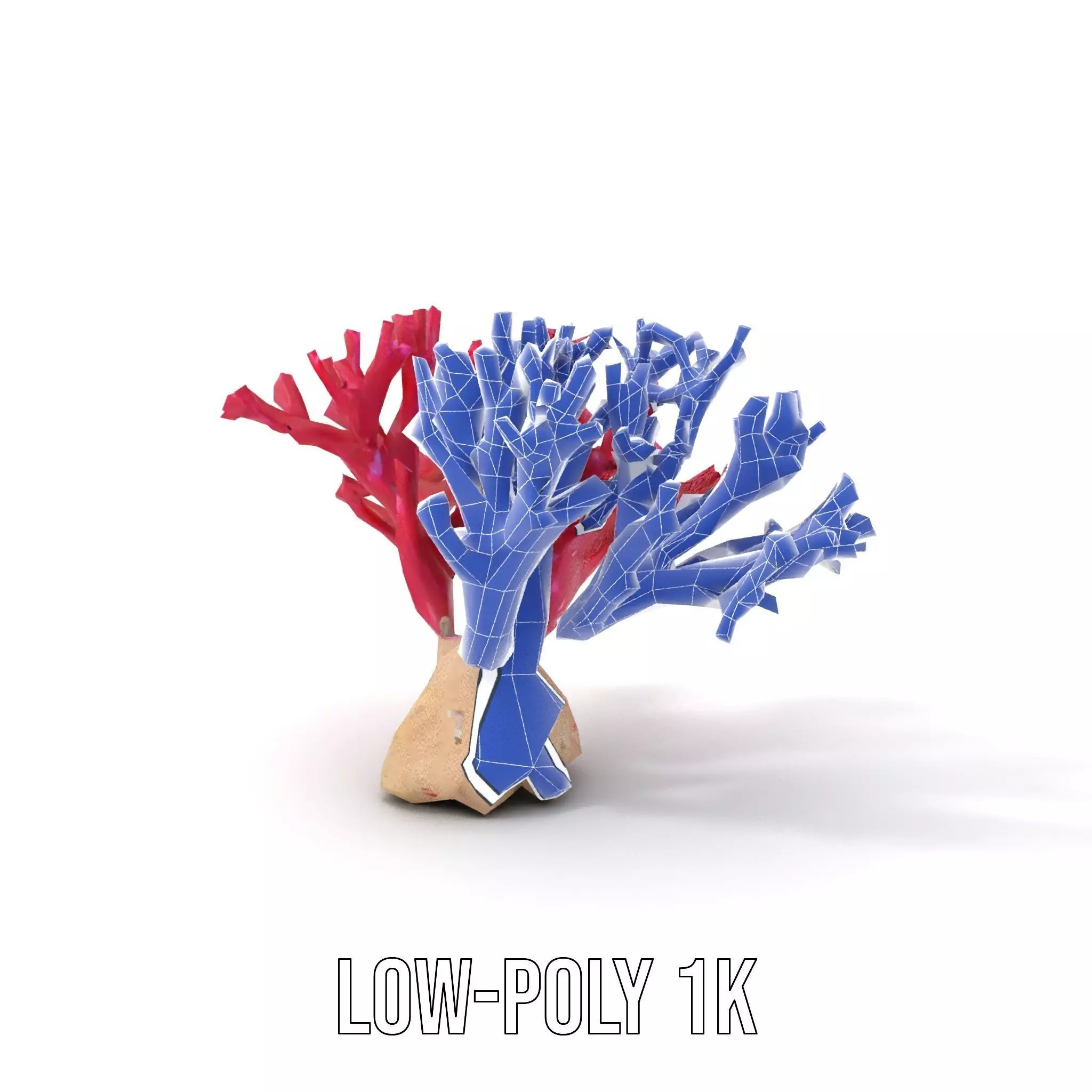 Vibrant Coral Reef model pack Low-poly 3D model_21