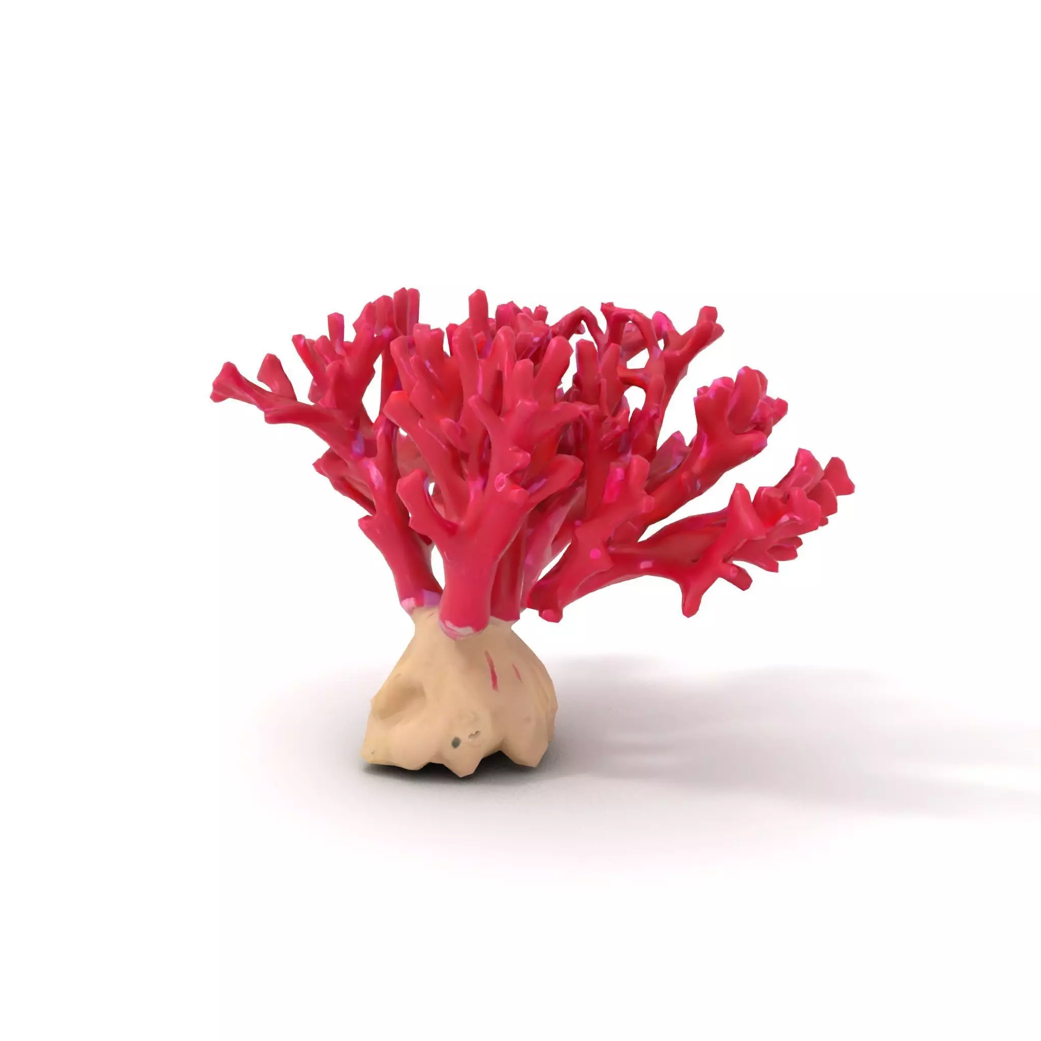 Vibrant Coral Reef model pack Low-poly 3D model_5