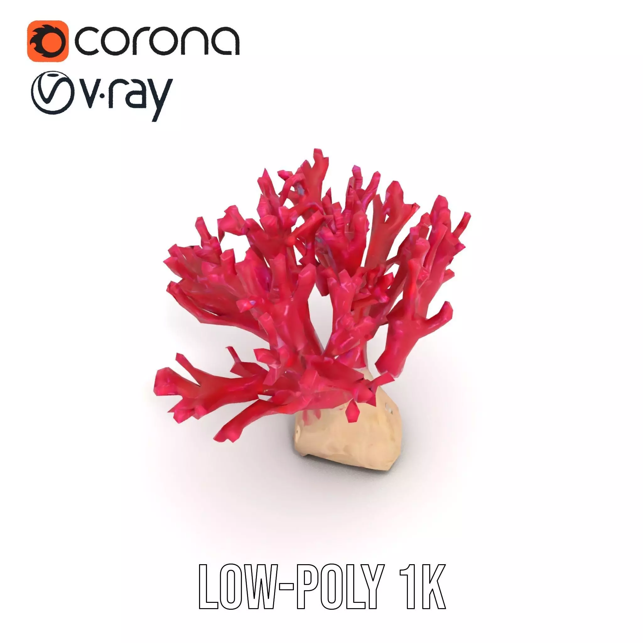 Vibrant Coral Reef model pack Low-poly 3D model_7