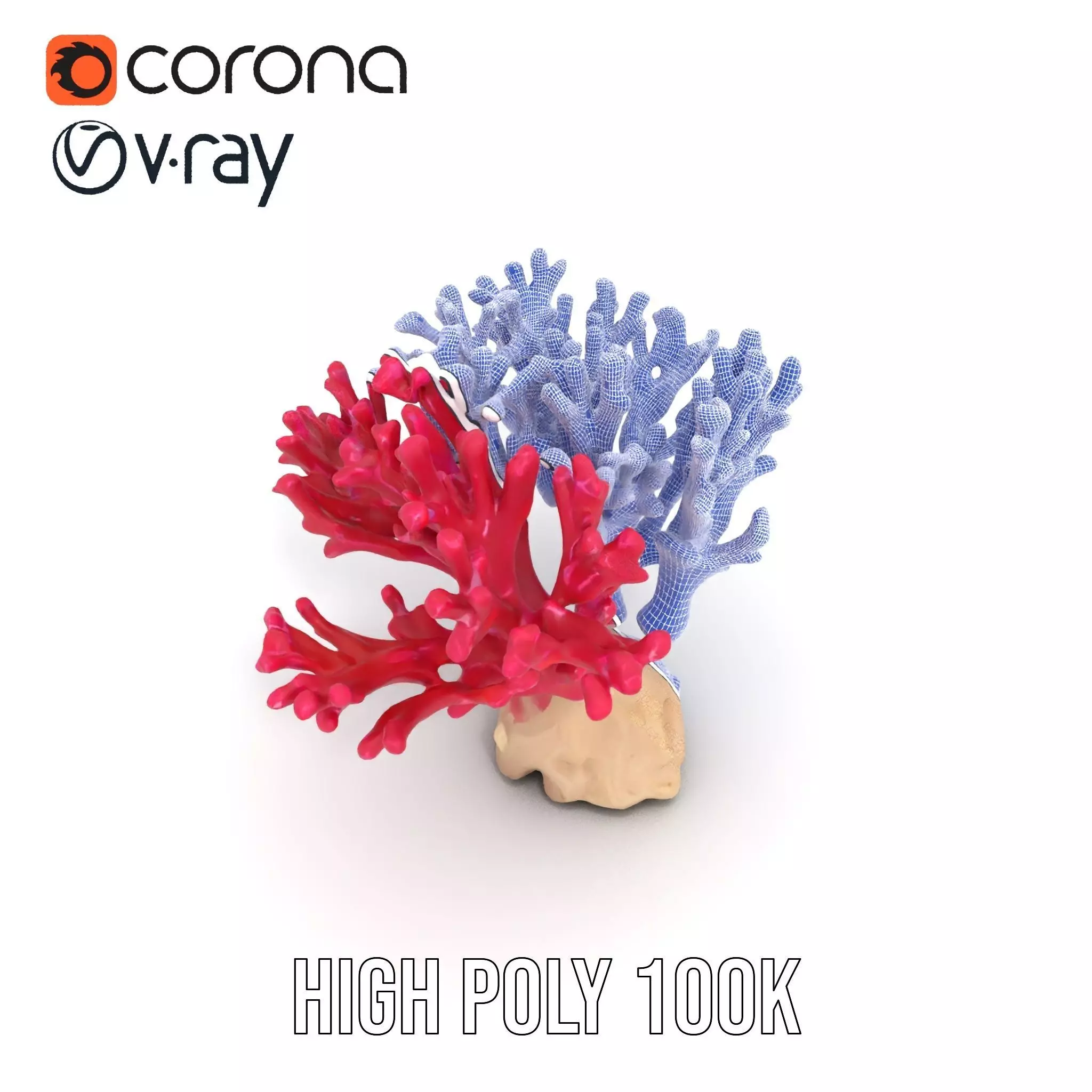 Vibrant Coral Reef model pack Low-poly 3D model_34