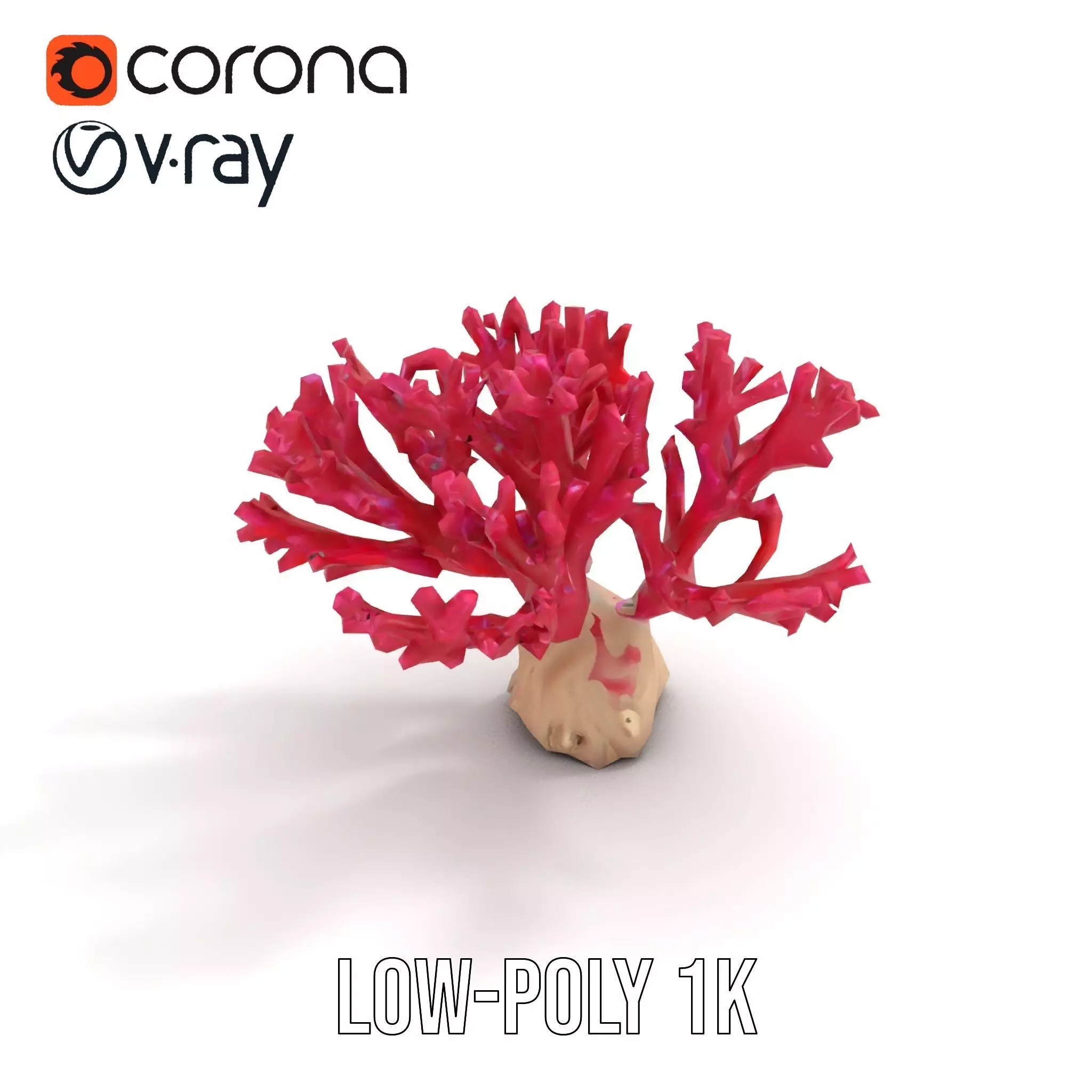 Vibrant Coral Reef model pack Low-poly 3D model_17
