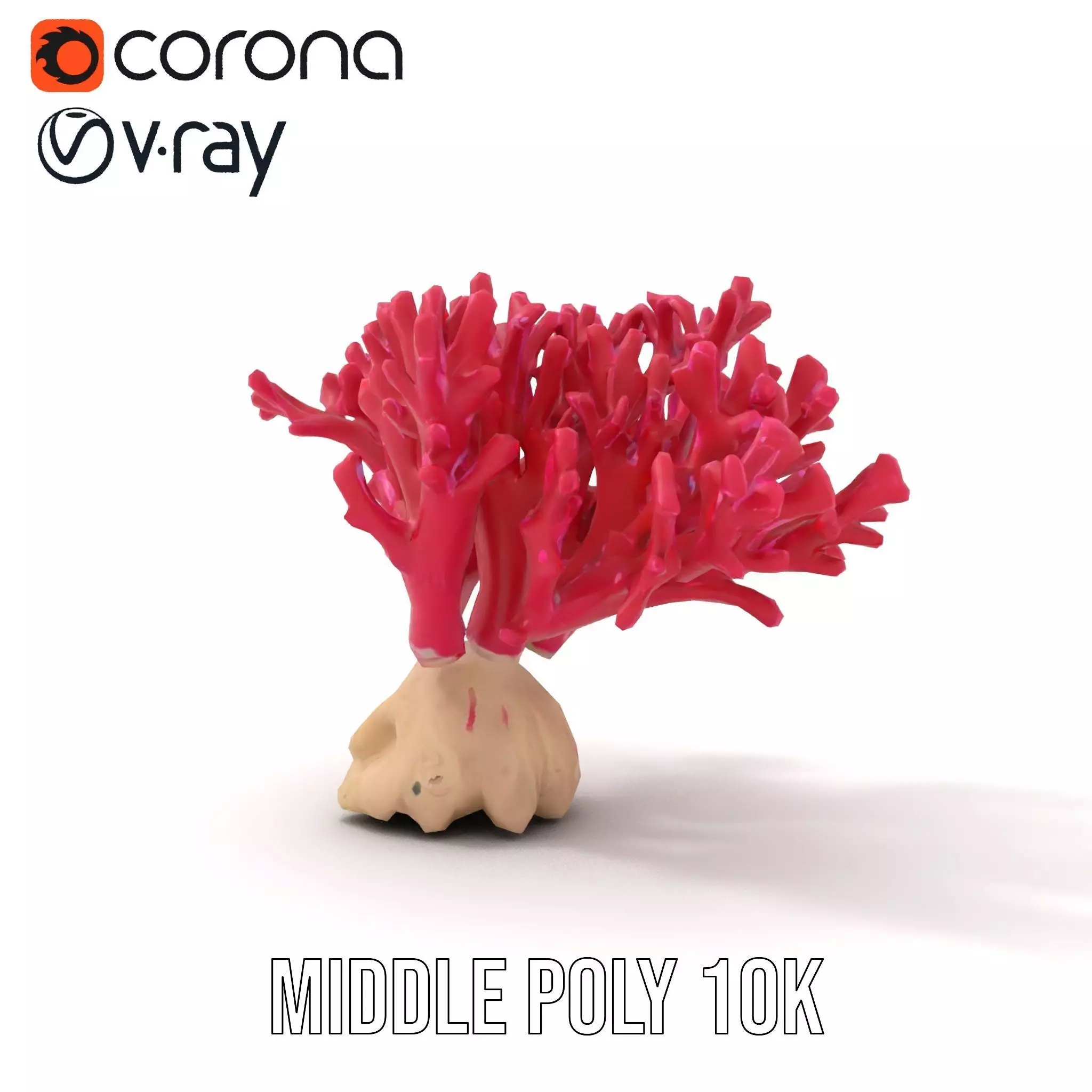 Vibrant Coral Reef model pack Low-poly 3D model_18