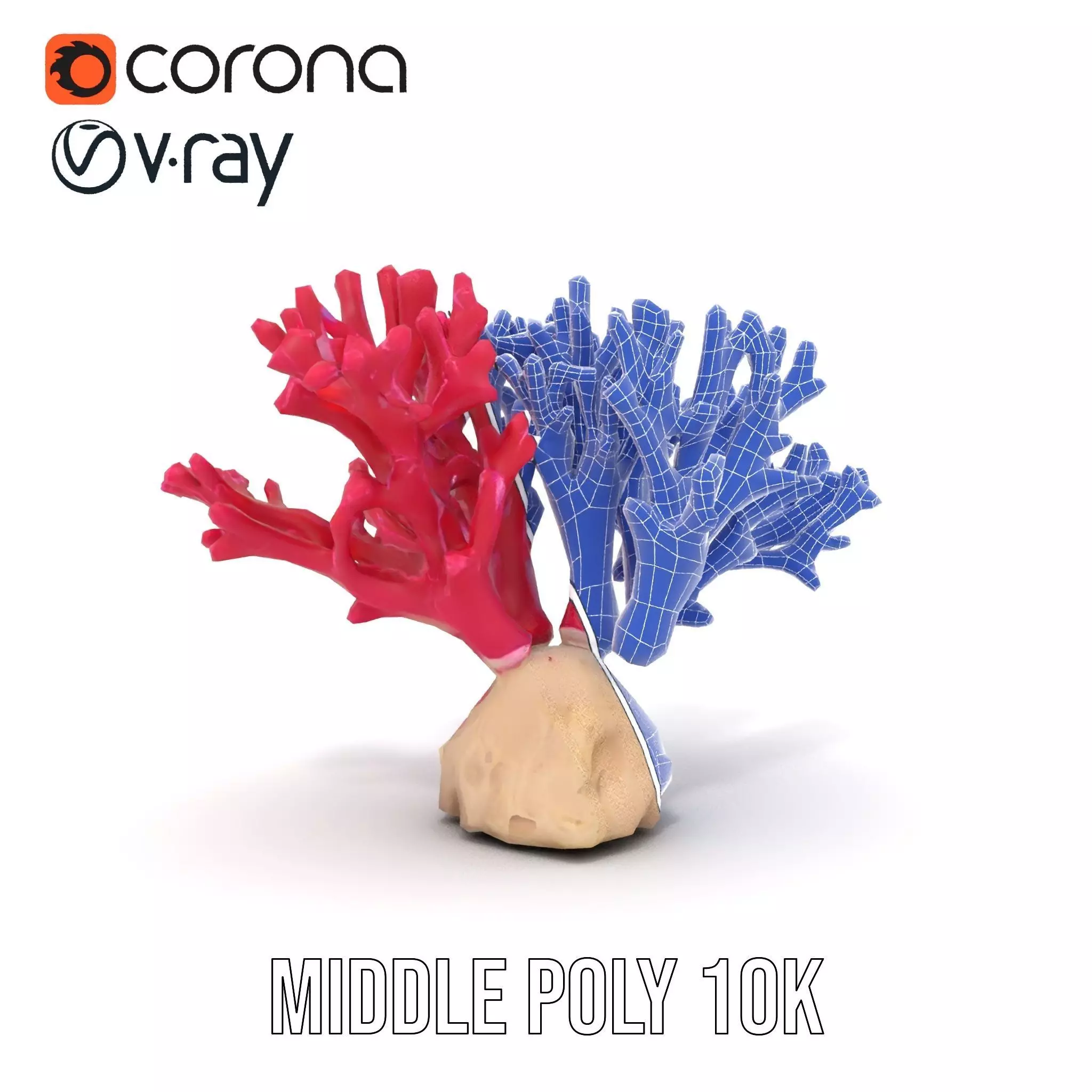 Vibrant Coral Reef model pack Low-poly 3D model_29