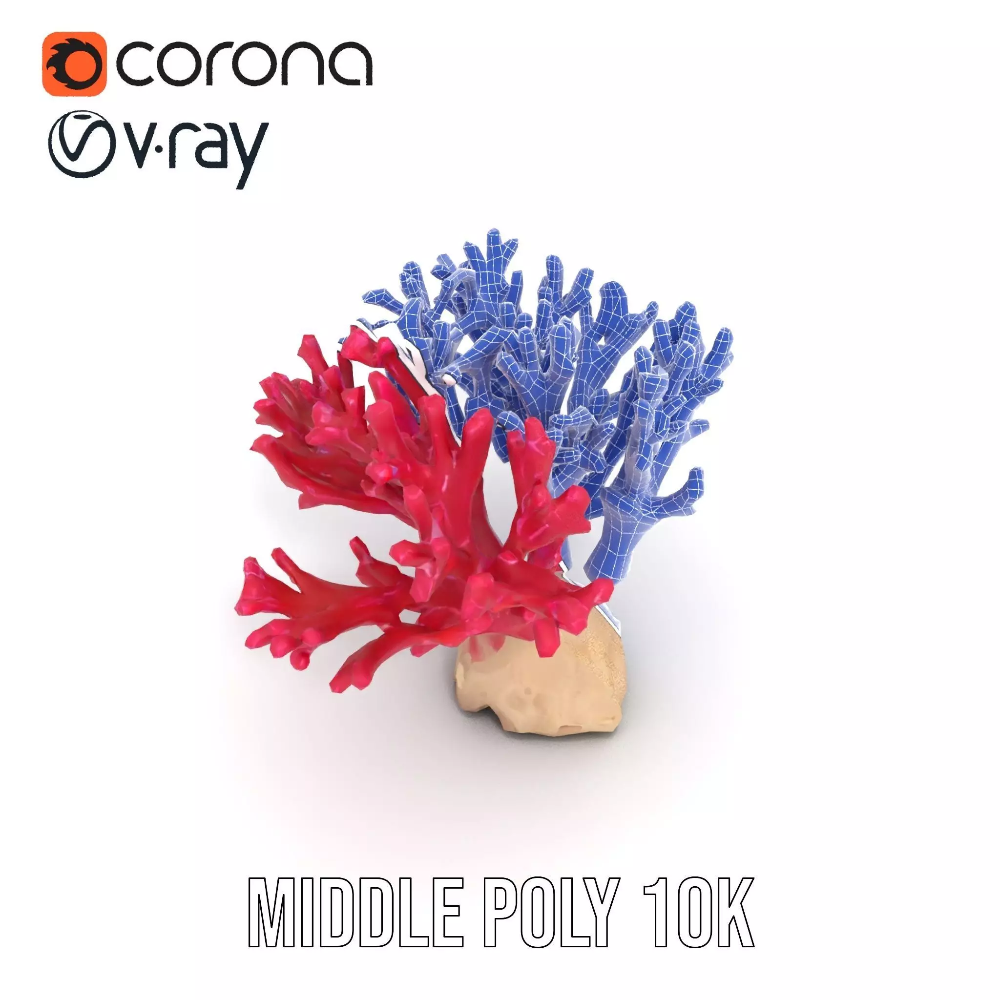 Vibrant Coral Reef model pack Low-poly 3D model_23