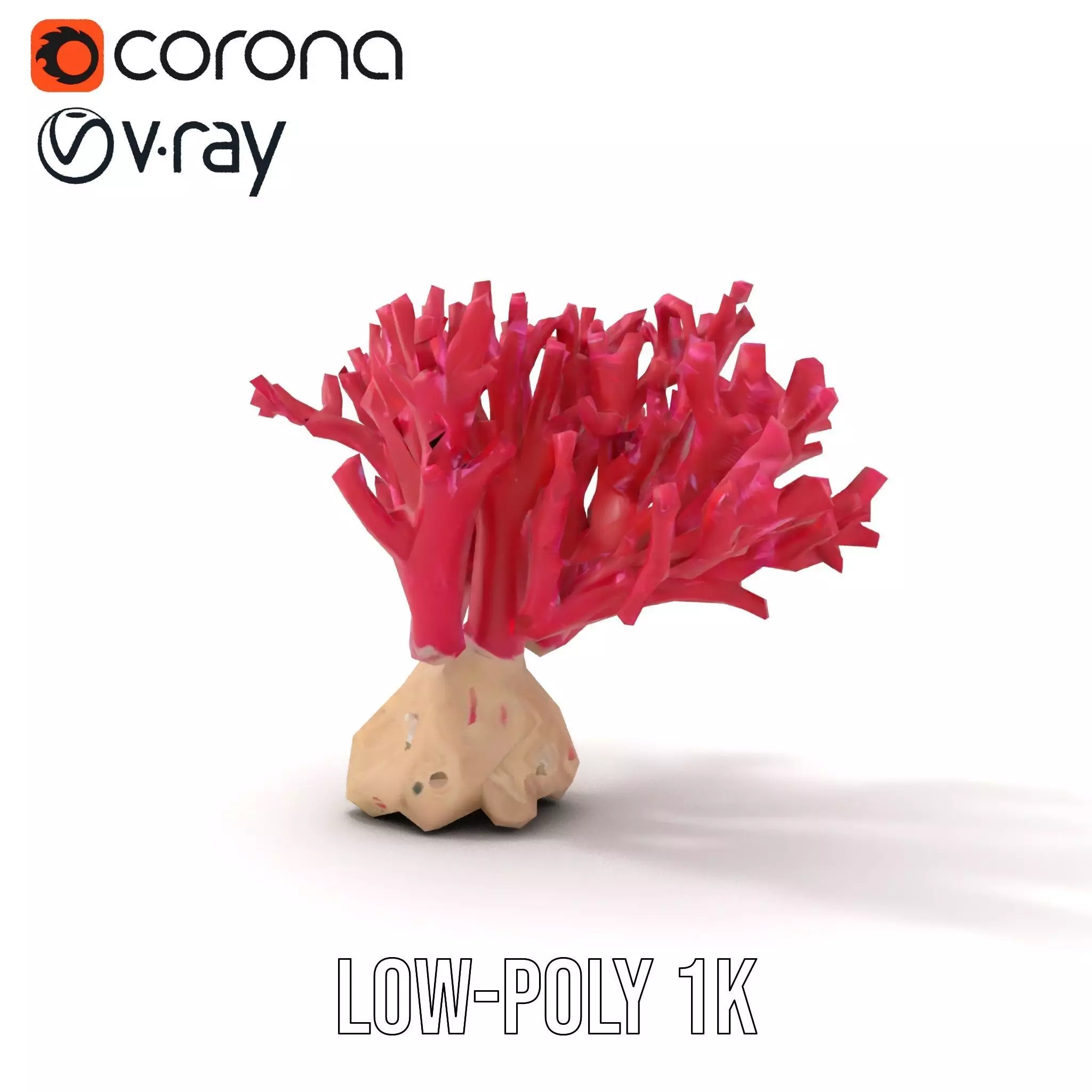 Vibrant Coral Reef model pack Low-poly 3D model_9