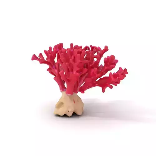 Vibrant Coral Reef model pack Low-poly 3D model