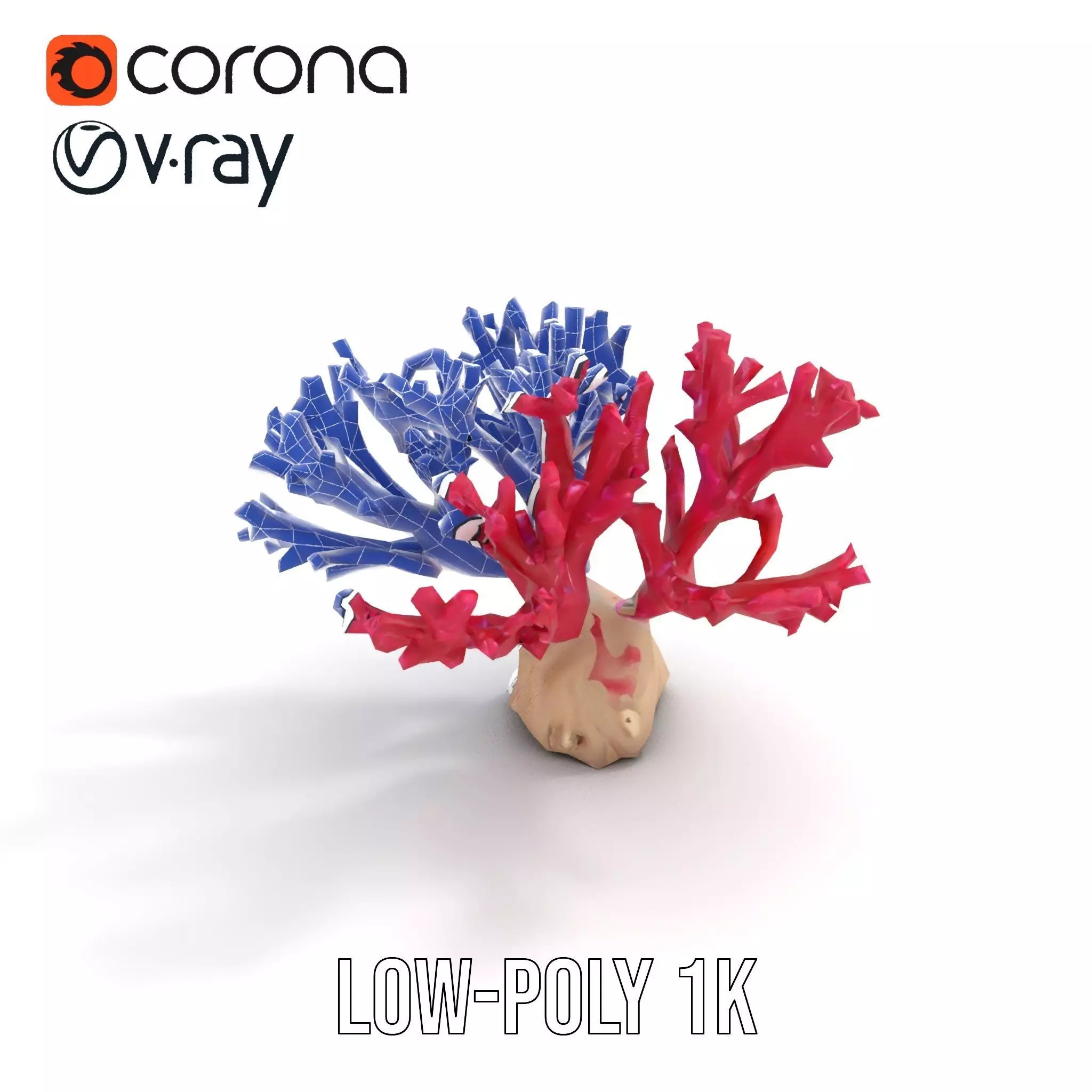 Vibrant Coral Reef model pack Low-poly 3D model_27