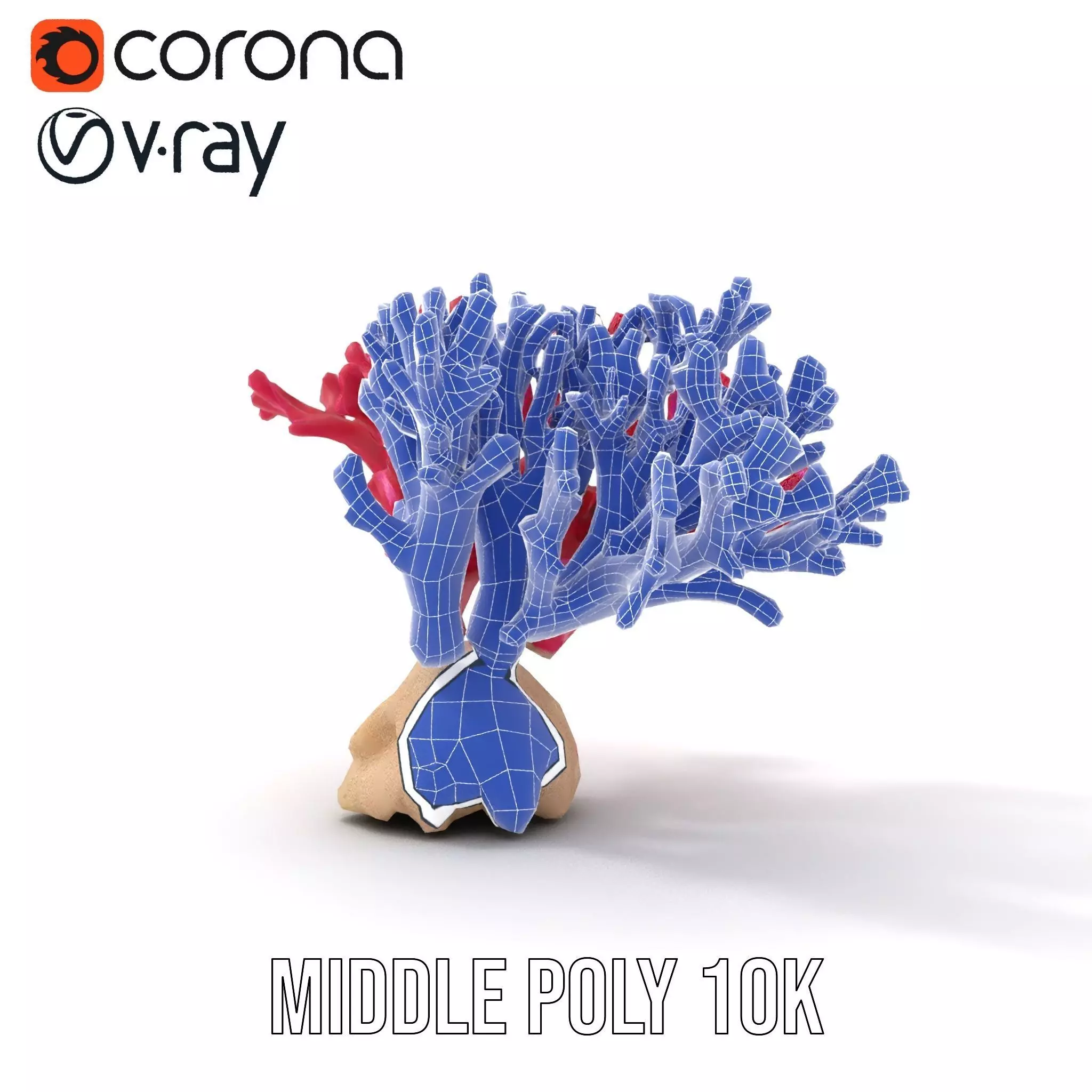 Vibrant Coral Reef model pack Low-poly 3D model_20
