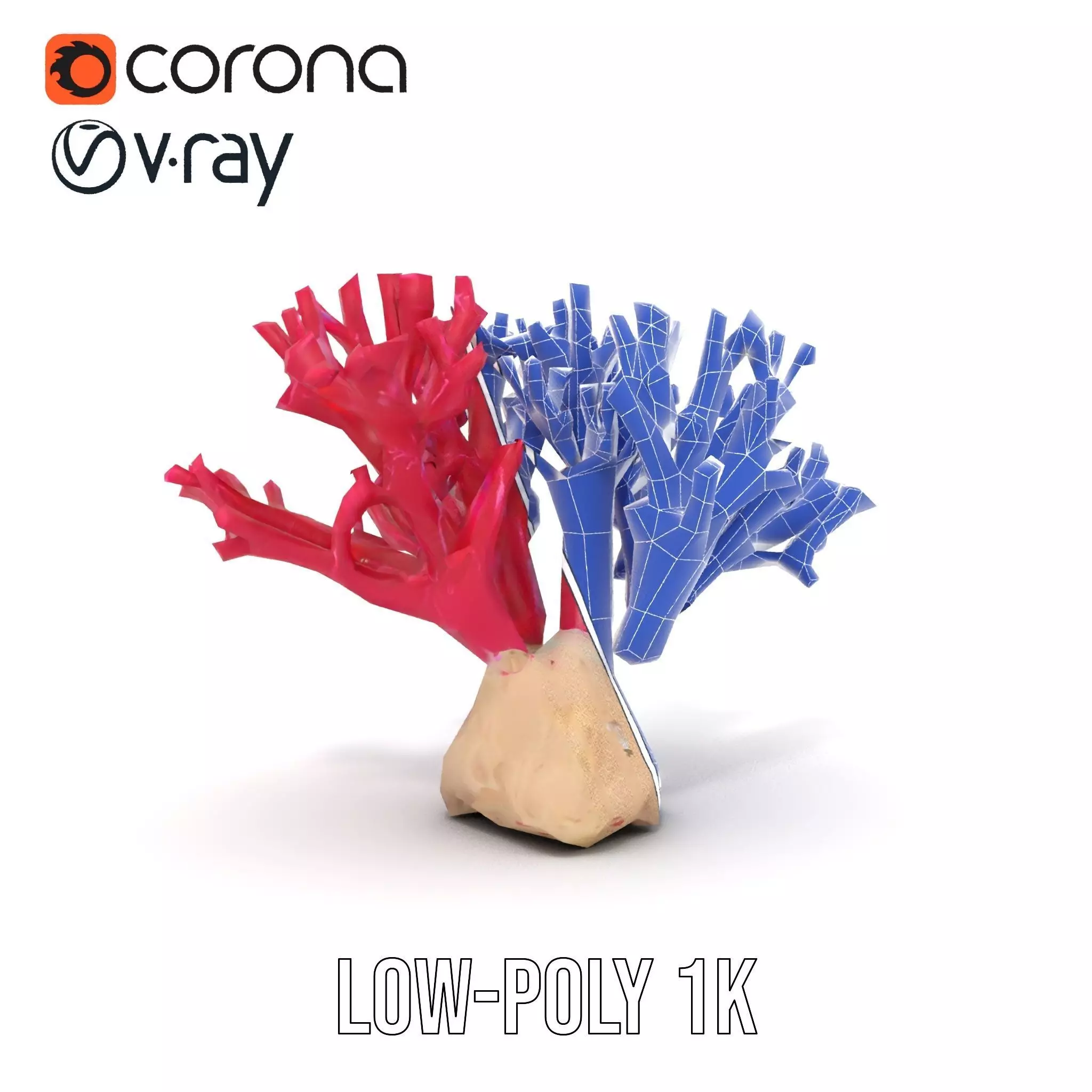 Vibrant Coral Reef model pack Low-poly 3D model_24