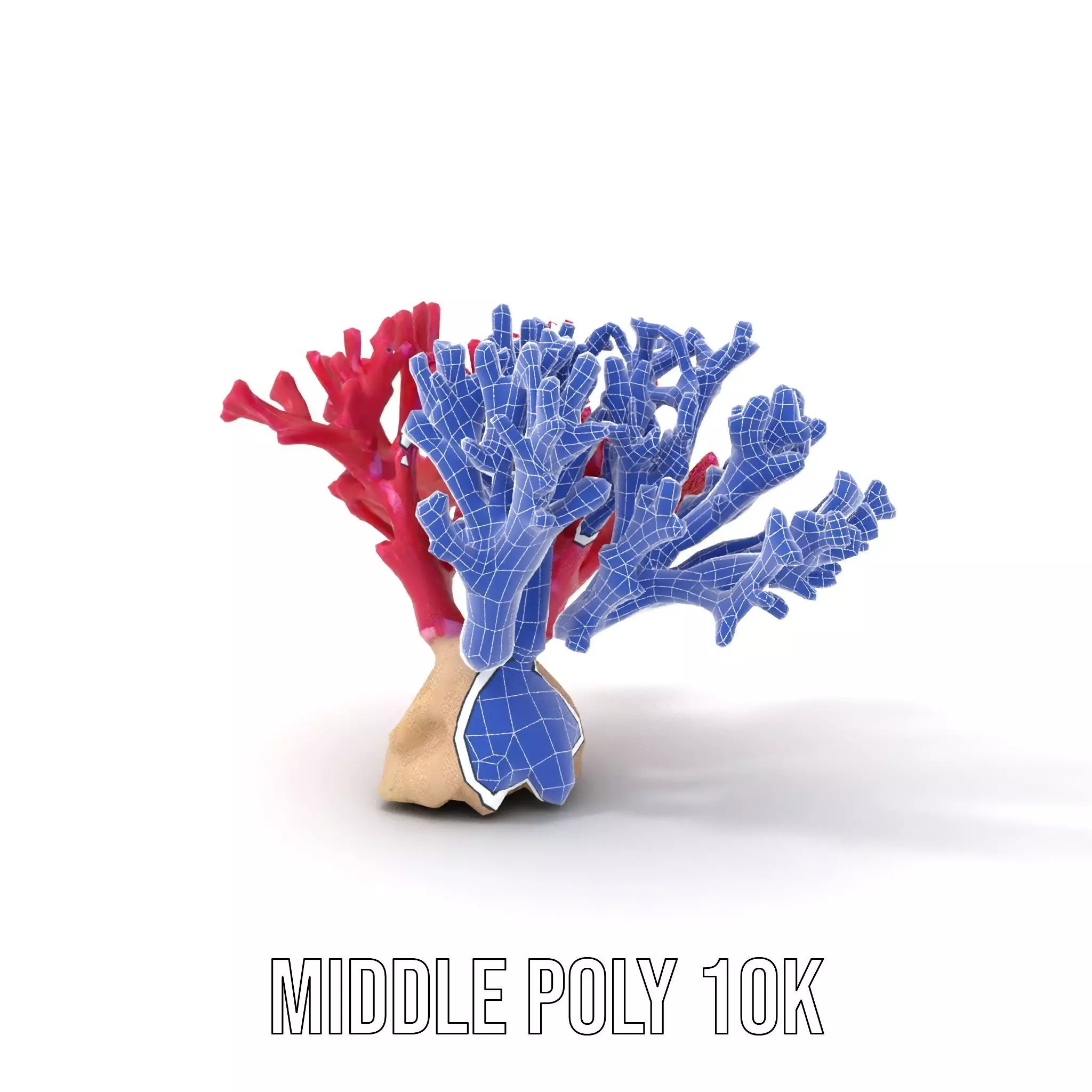 Vibrant Coral Reef model pack Low-poly 3D model_13