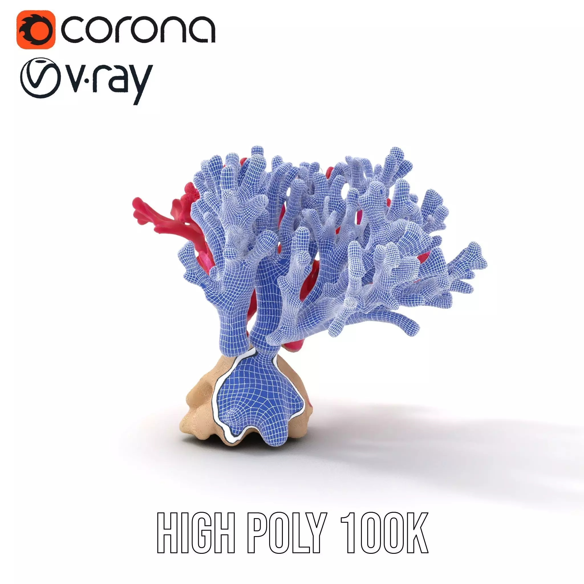 Vibrant Coral Reef model pack Low-poly 3D model_33