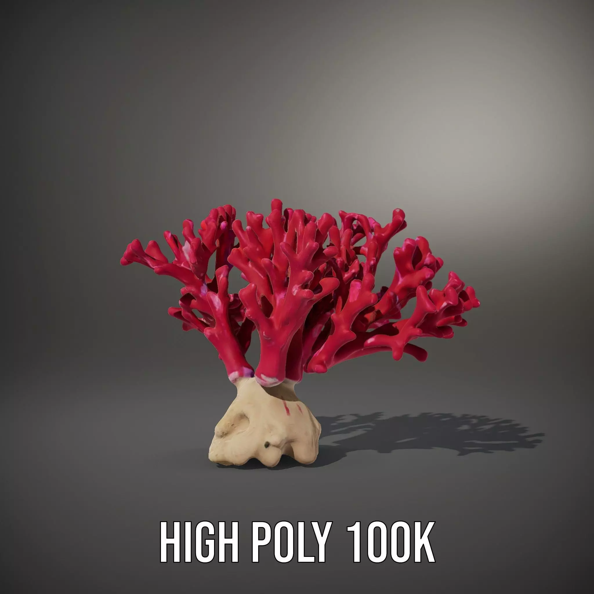 Vibrant Coral Reef model pack Low-poly 3D model_10