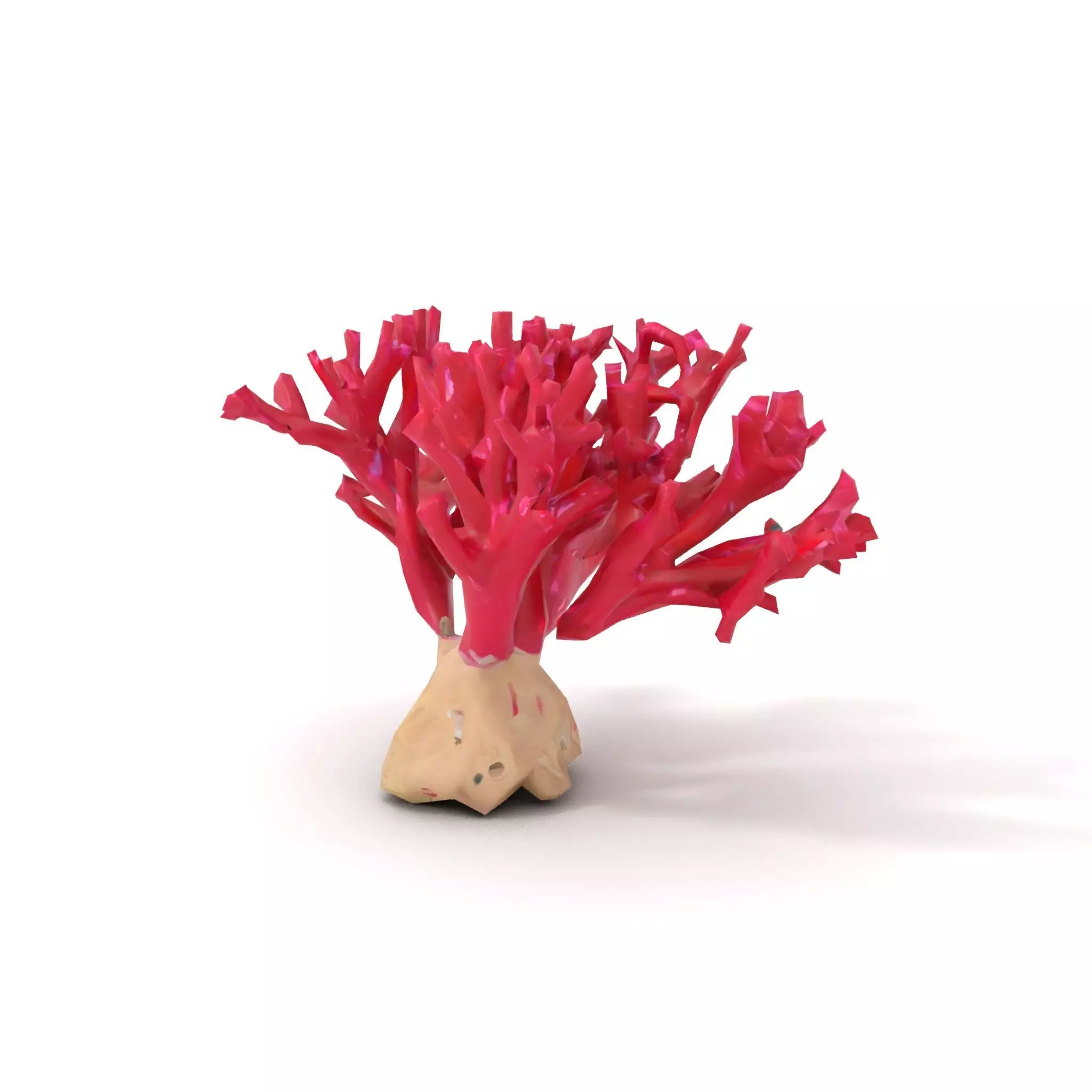 Vibrant Coral Reef model pack Low-poly 3D model_14