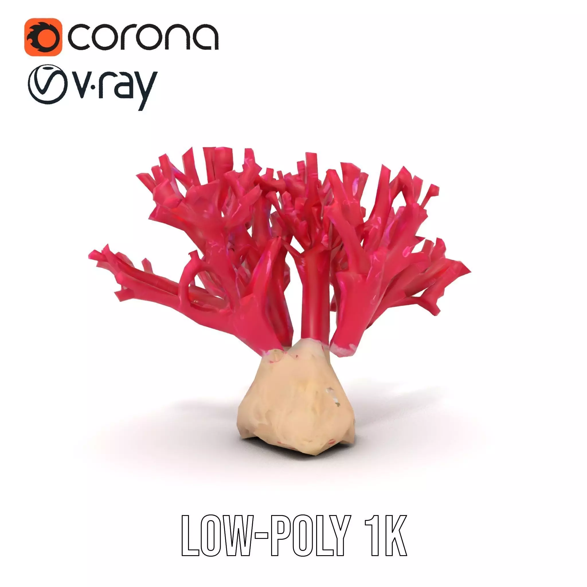 Vibrant Coral Reef model pack Low-poly 3D model_12