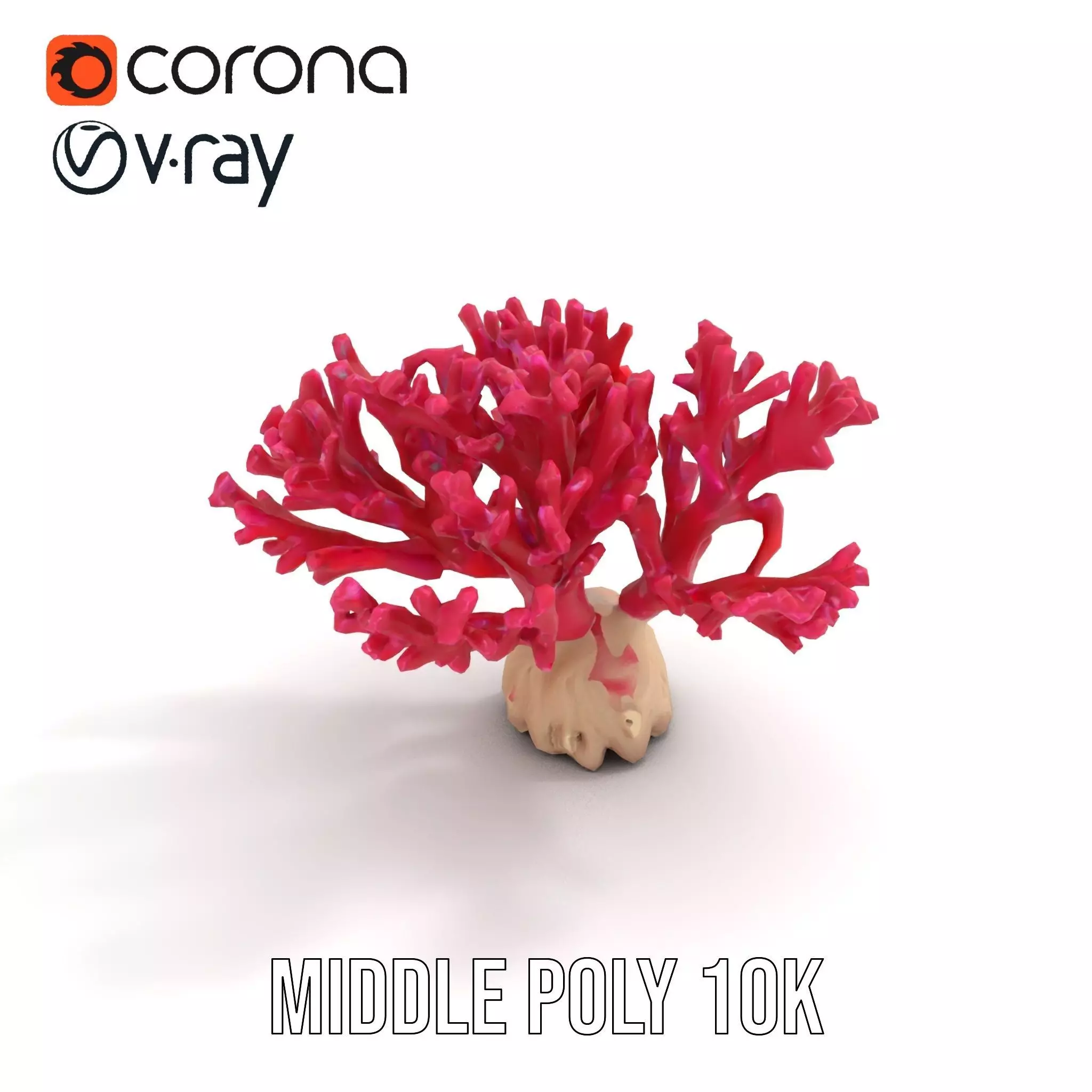 Vibrant Coral Reef model pack Low-poly 3D model_6
