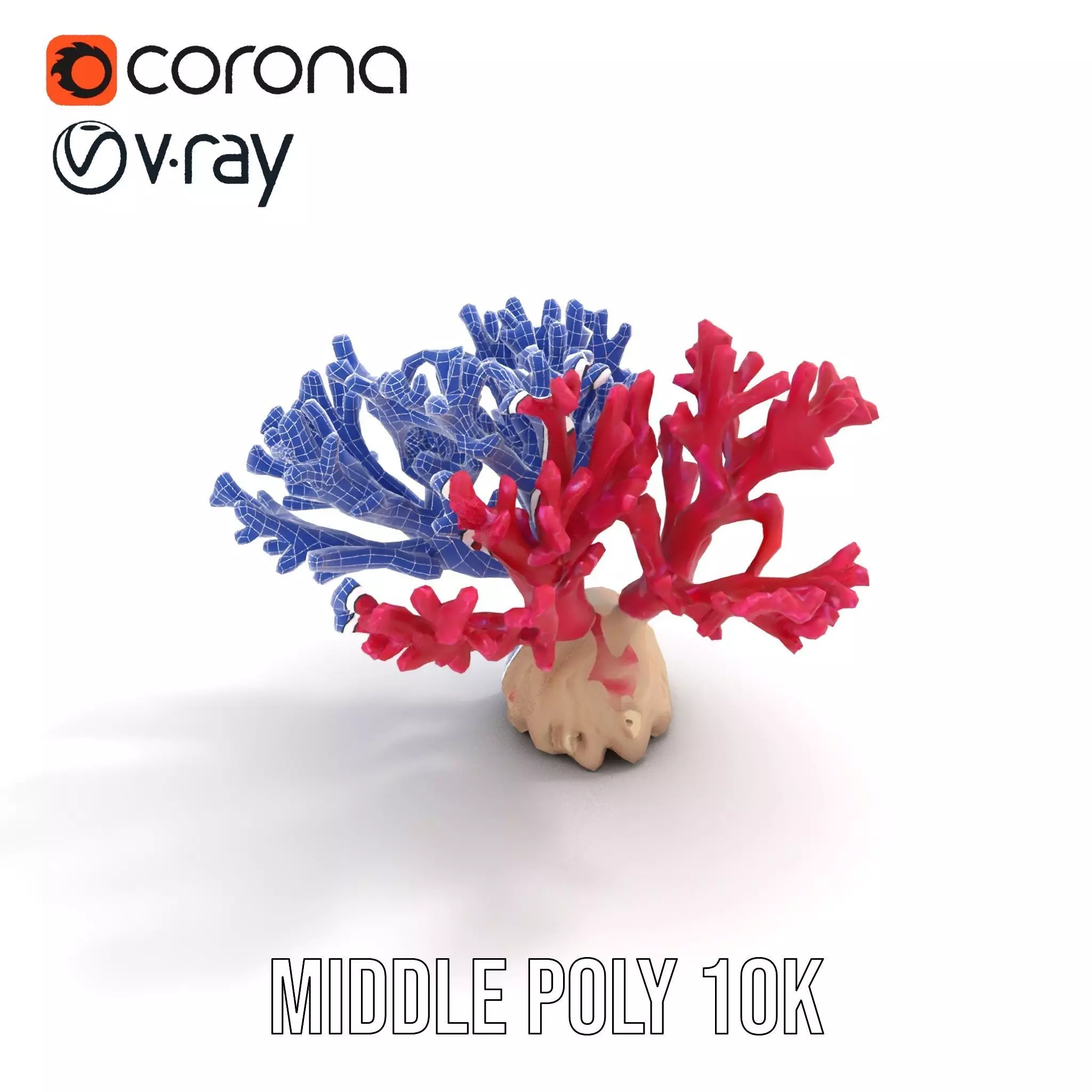 Vibrant Coral Reef model pack Low-poly 3D model_16