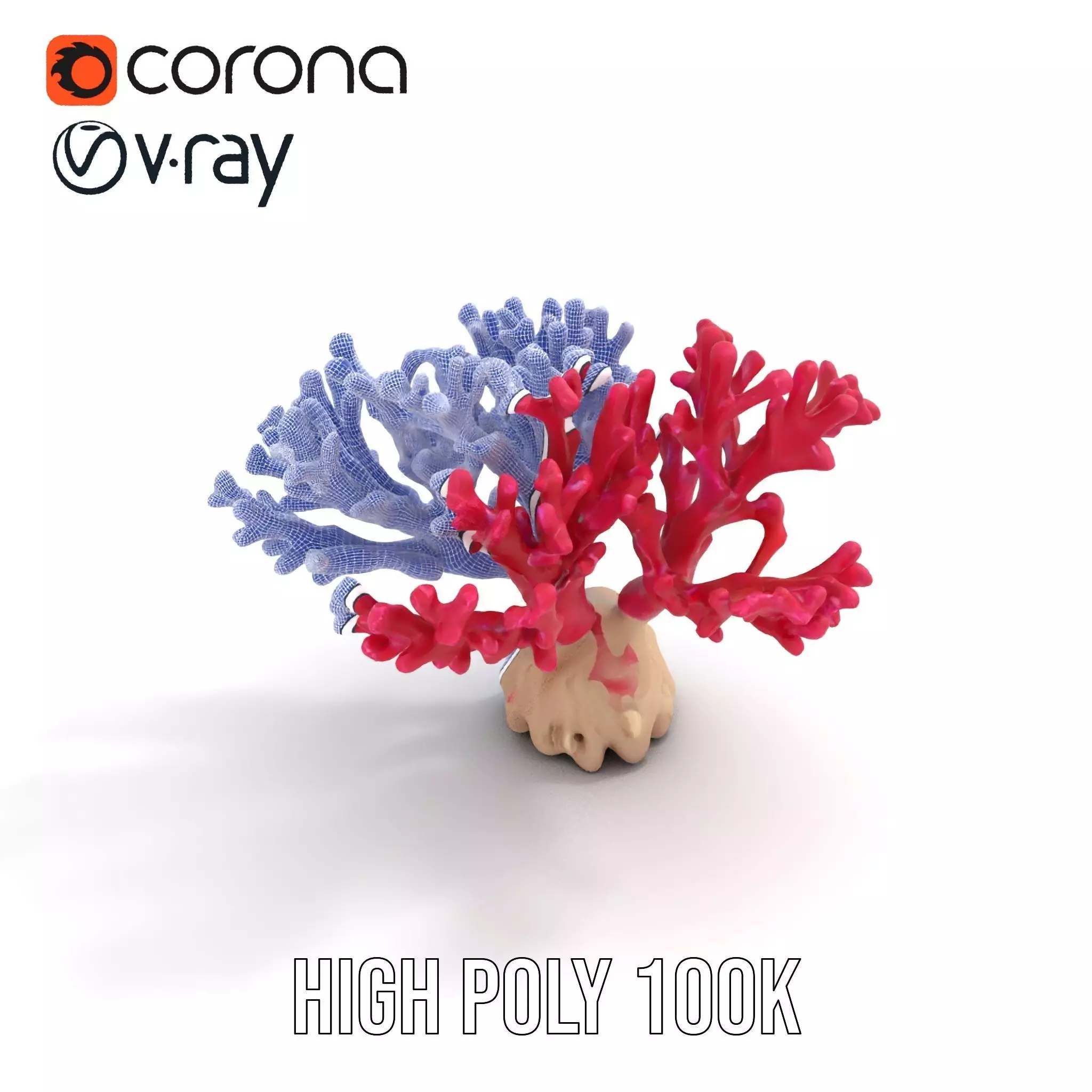 Vibrant Coral Reef model pack Low-poly 3D model_28