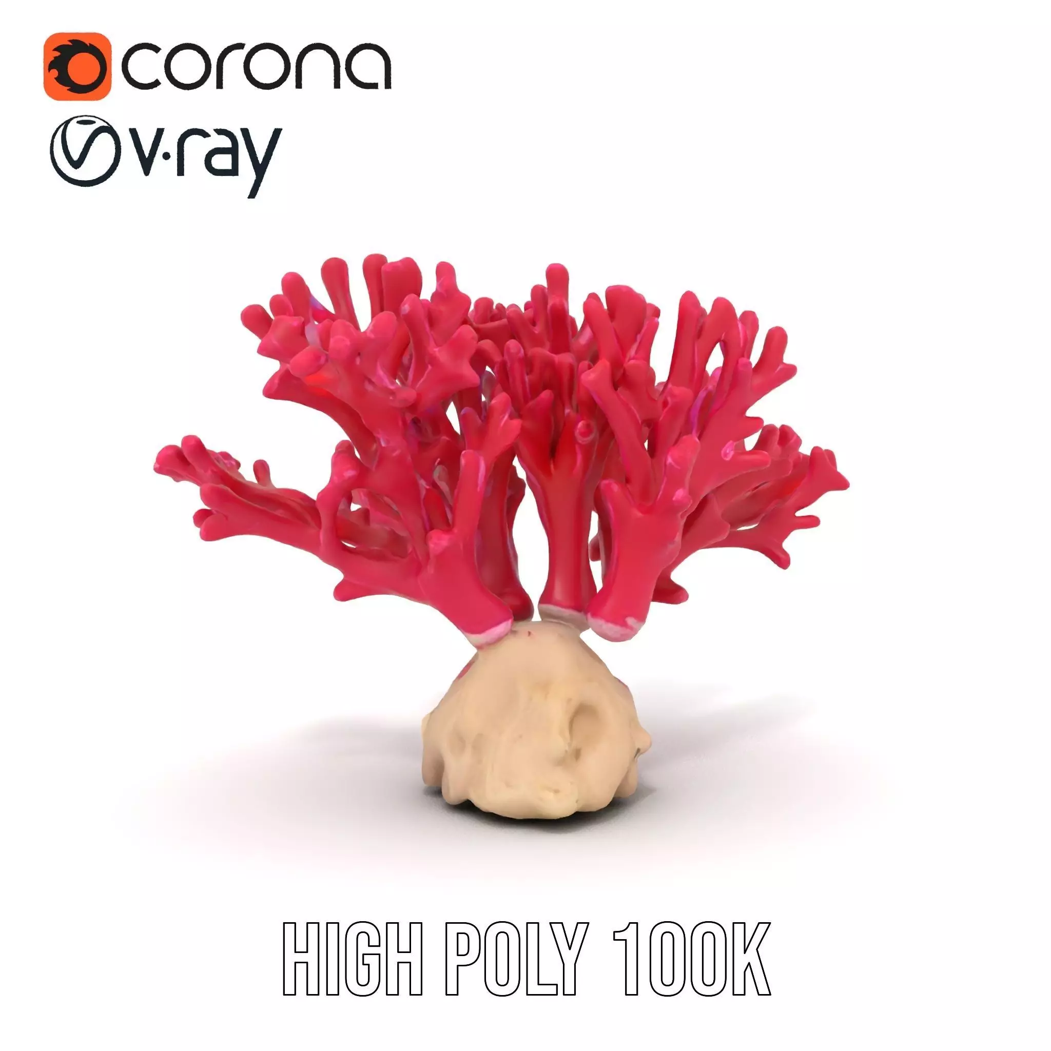 Vibrant Coral Reef model pack Low-poly 3D model_31