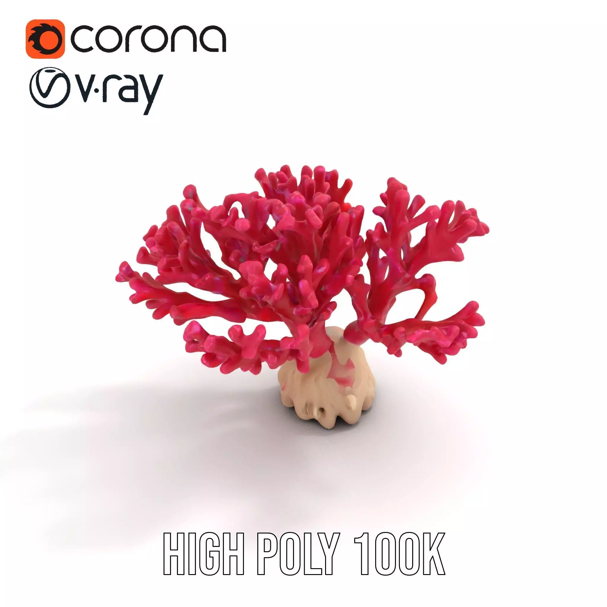 Vibrant Coral Reef model pack Low-poly 3D model_15