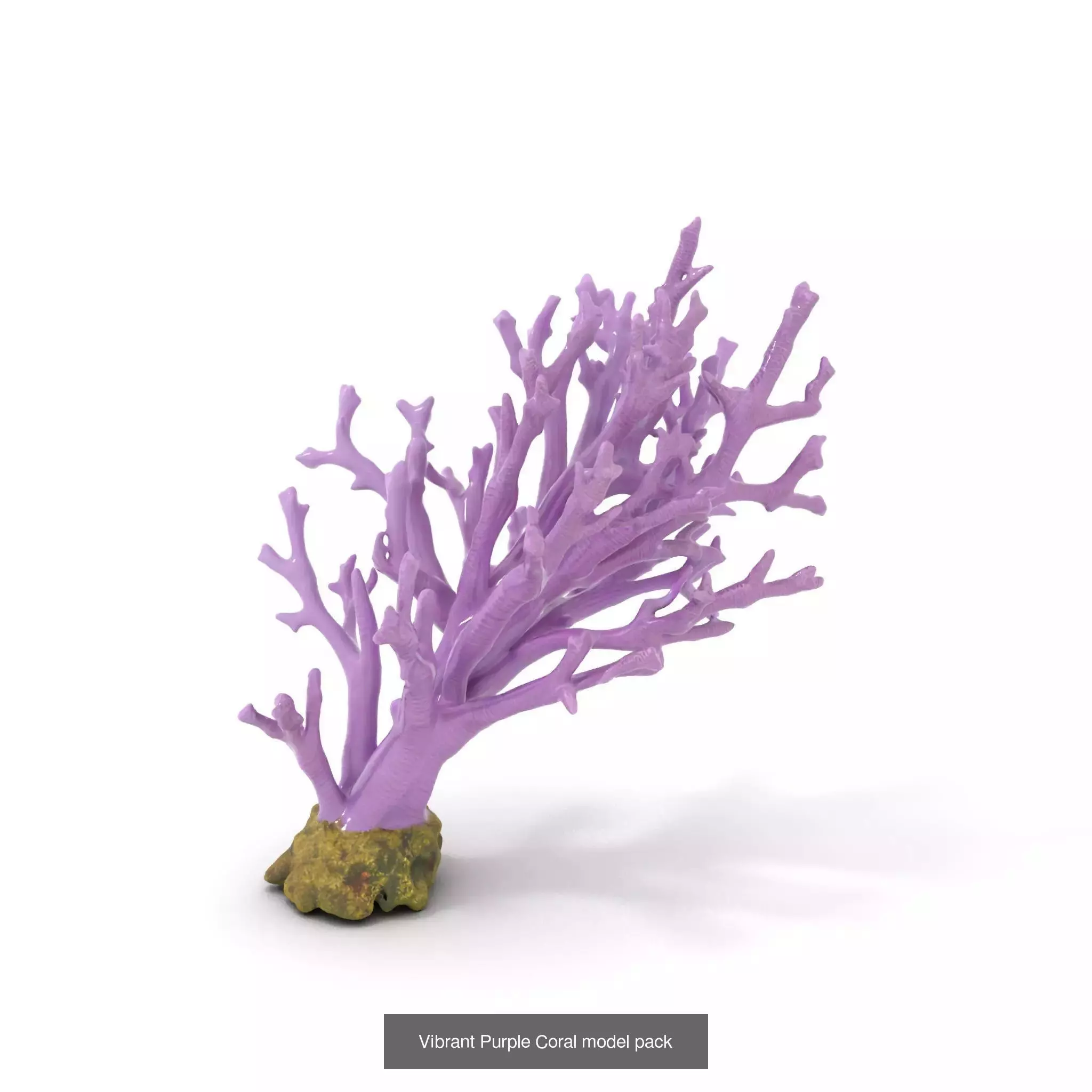 Exquisite Coral Wonders 3D Model Collection_46