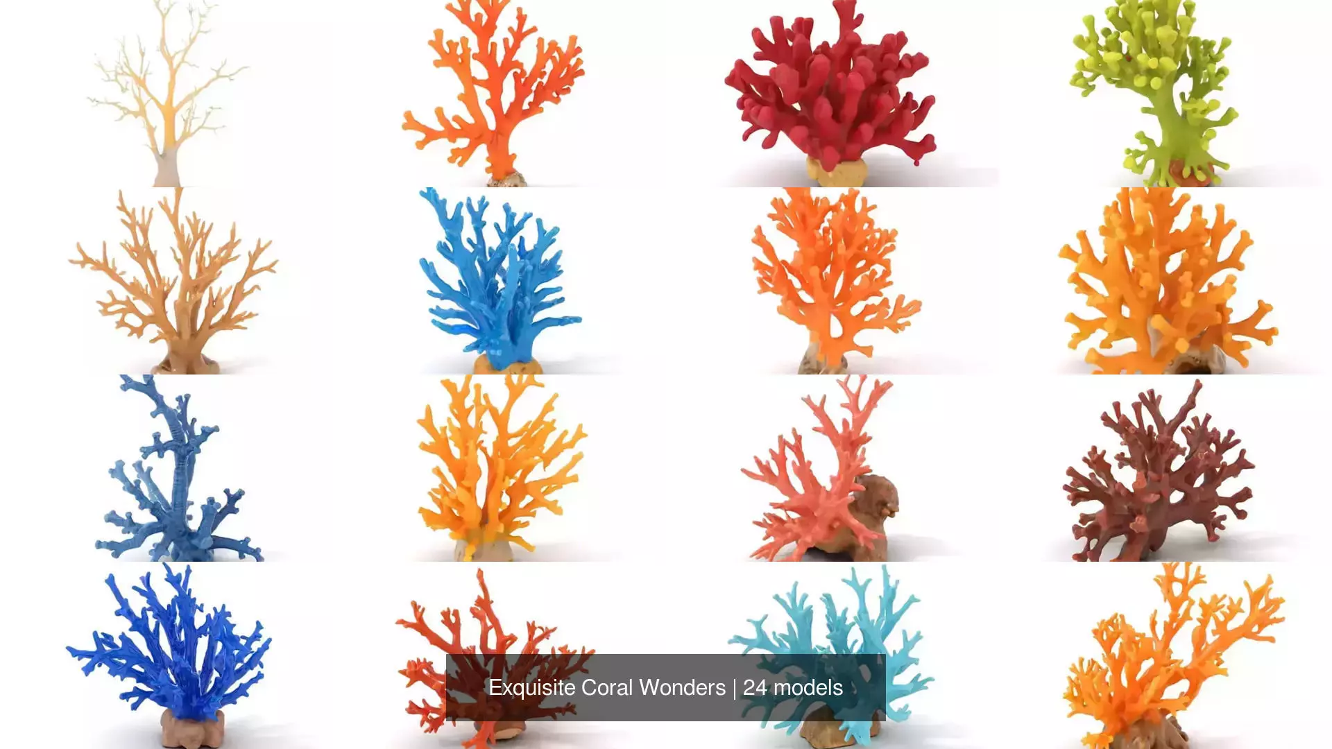 Exquisite Coral Wonders 3D Model Collection_0