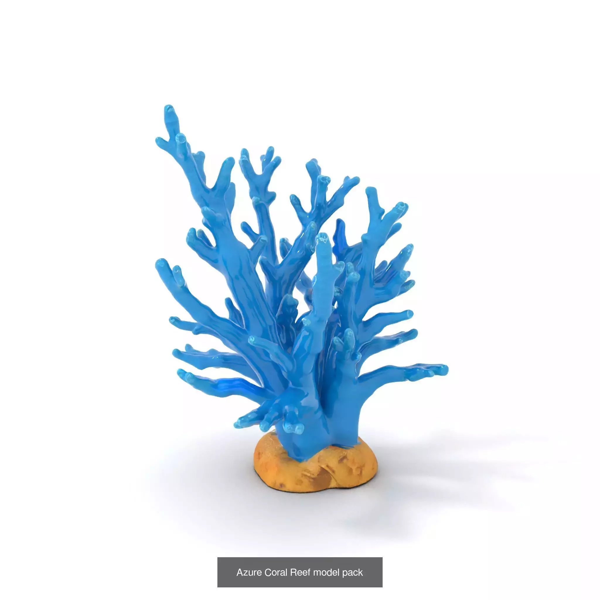 Exquisite Coral Wonders 3D Model Collection_34