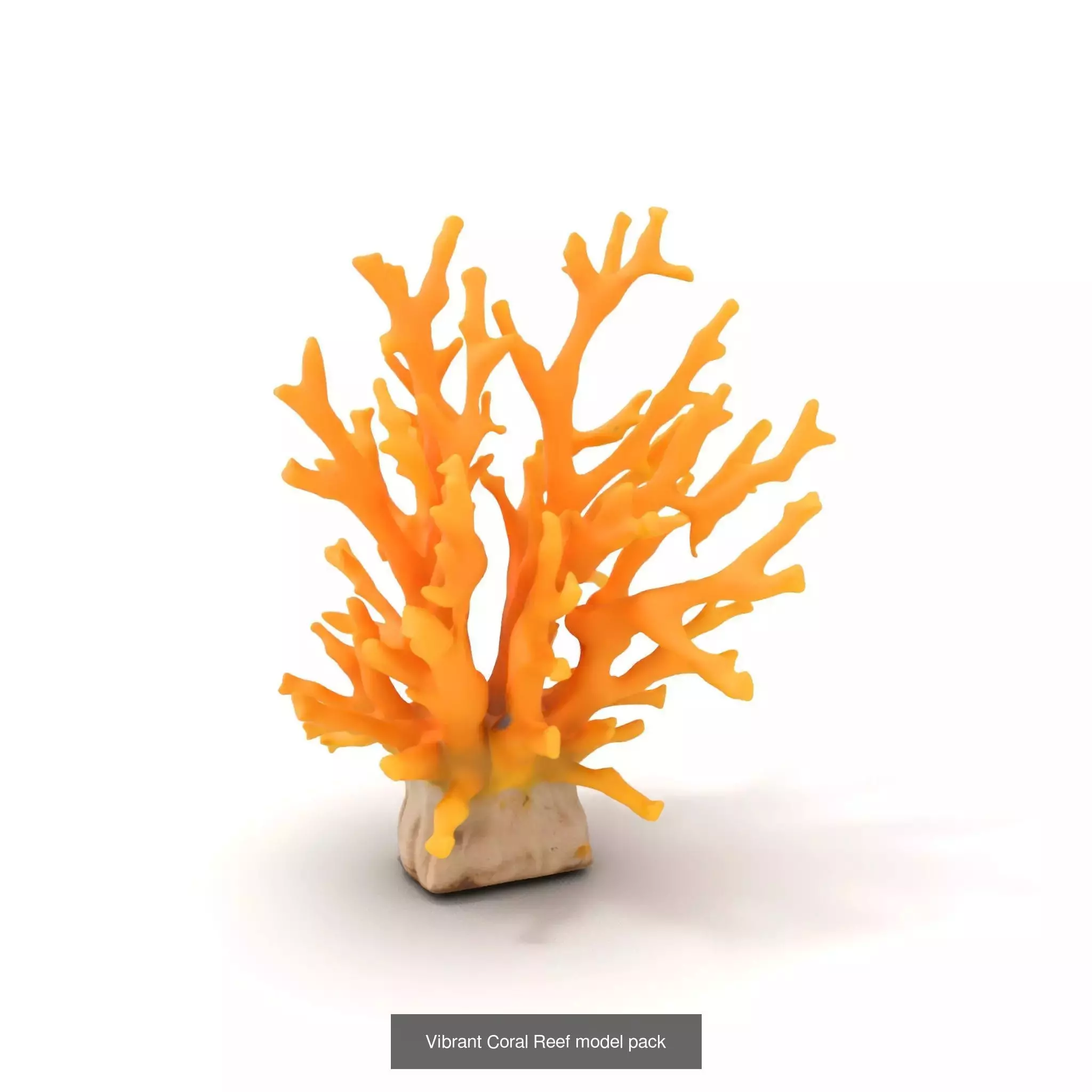 Exquisite Coral Wonders 3D Model Collection_38