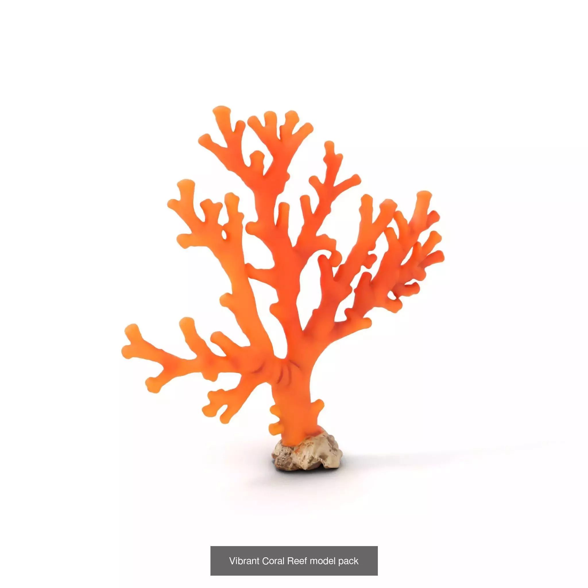 Exquisite Coral Wonders 3D Model Collection_30