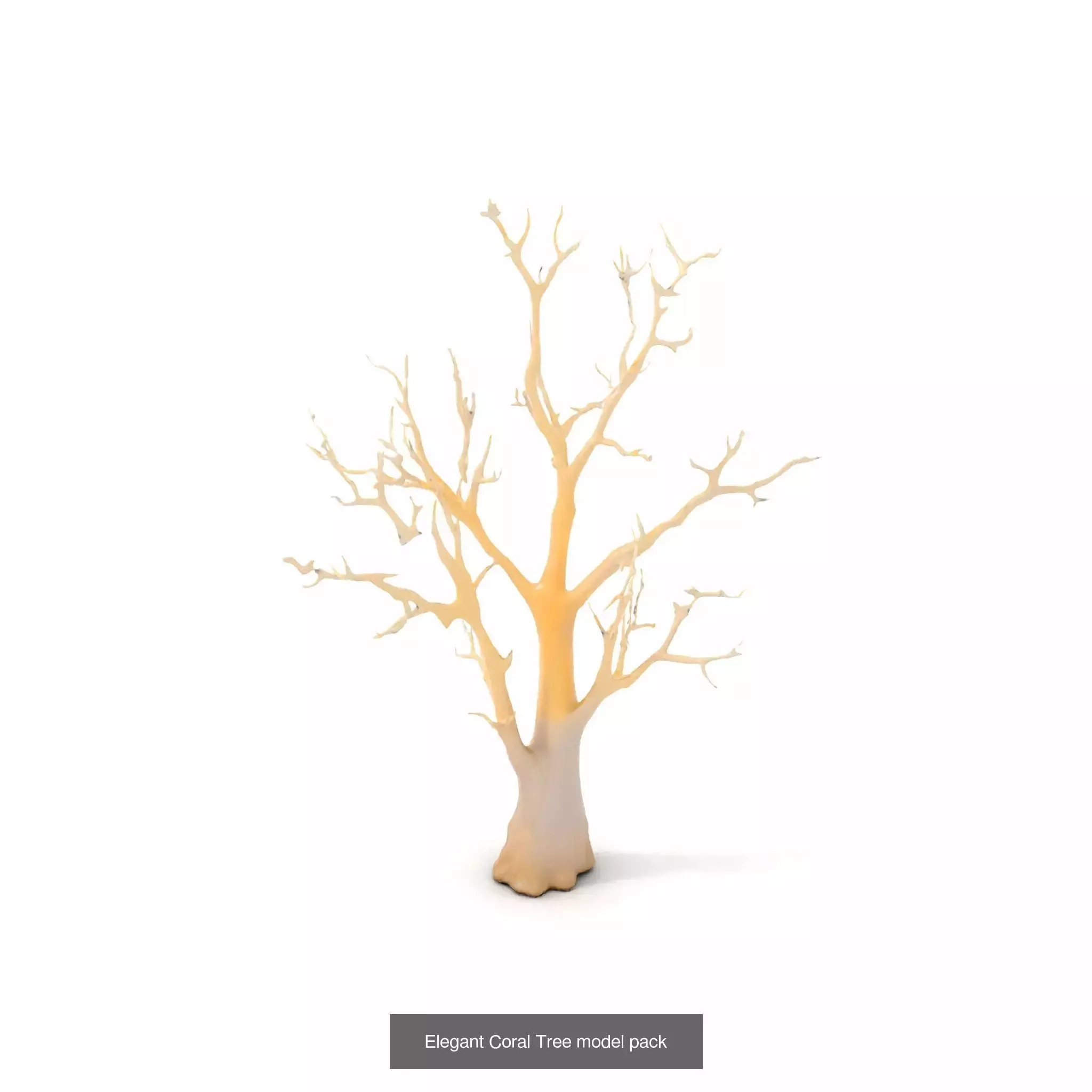 Exquisite Coral Wonders 3D Model Collection_29