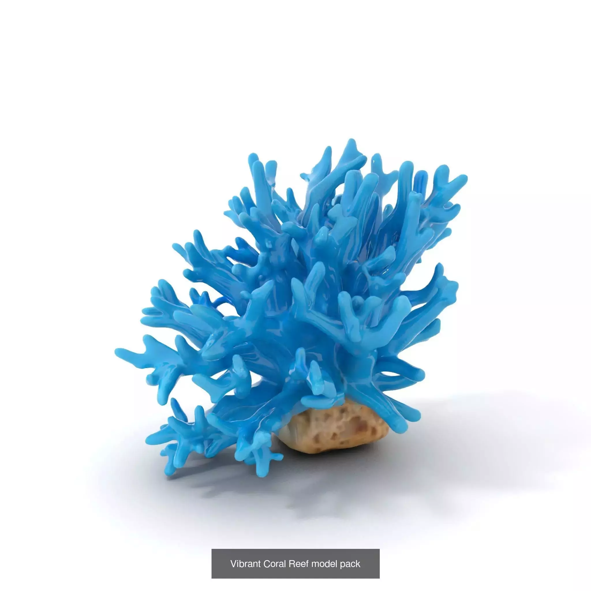 Exquisite Coral Wonders 3D Model Collection_48