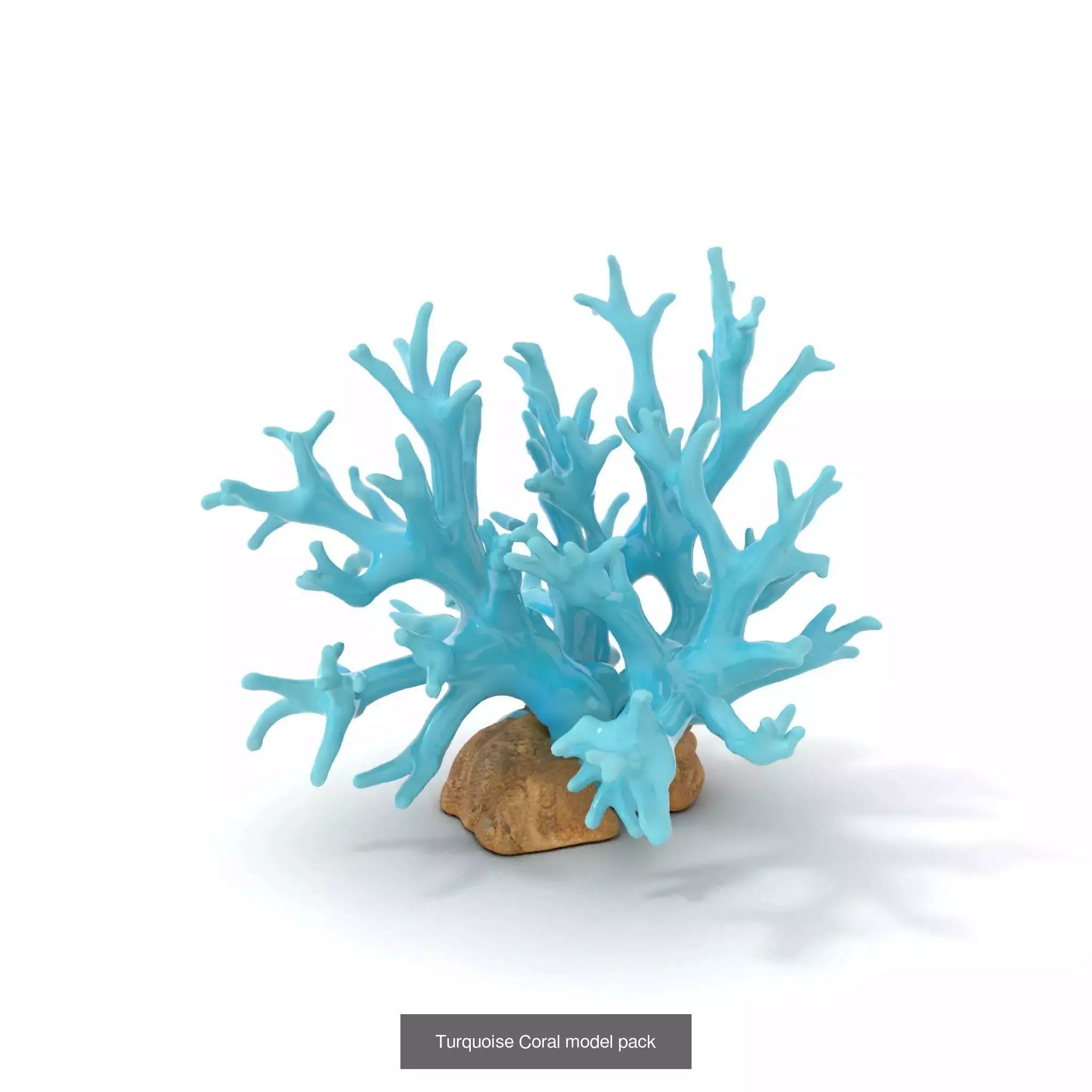 Exquisite Coral Wonders 3D Model Collection_43
