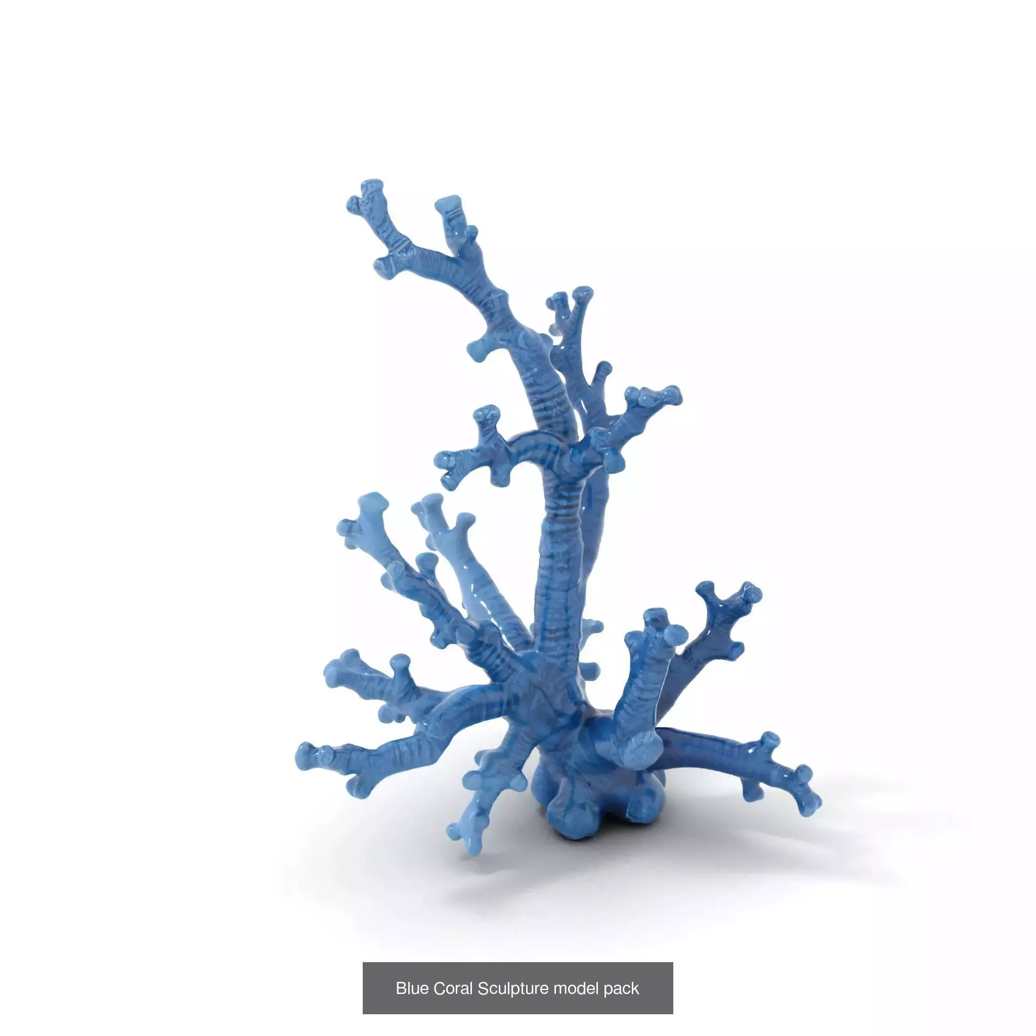 Exquisite Coral Wonders 3D Model Collection_37