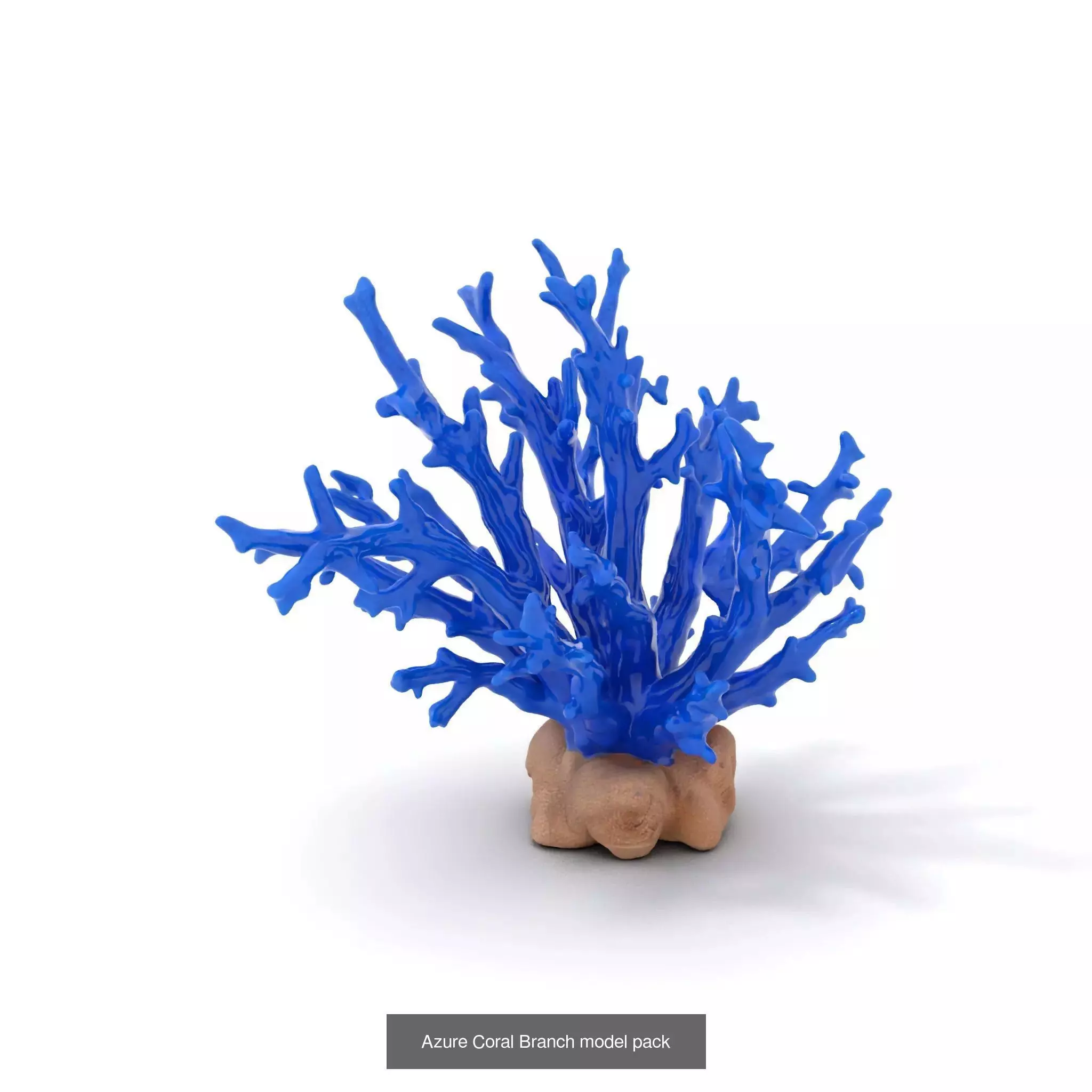 Exquisite Coral Wonders 3D Model Collection_41