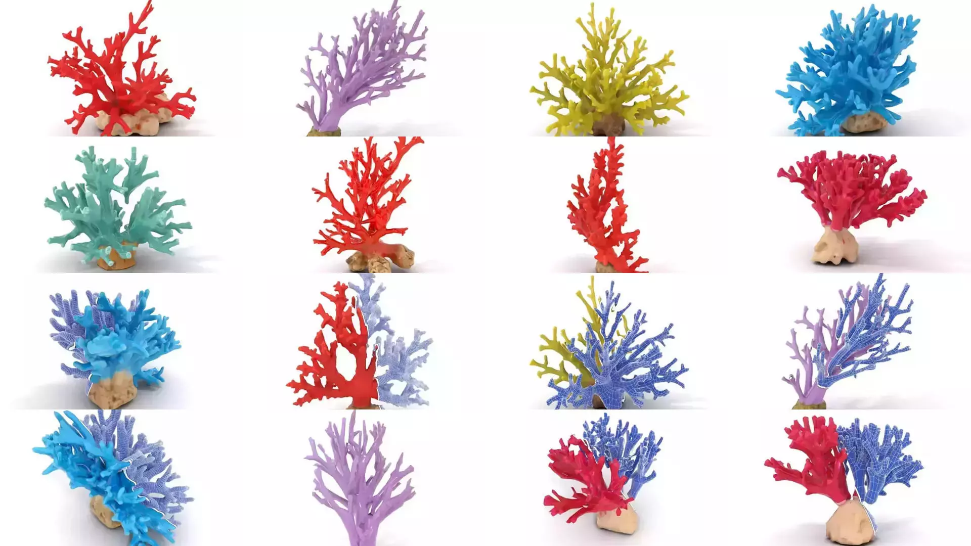 Exquisite Coral Wonders 3D Model Collection_27