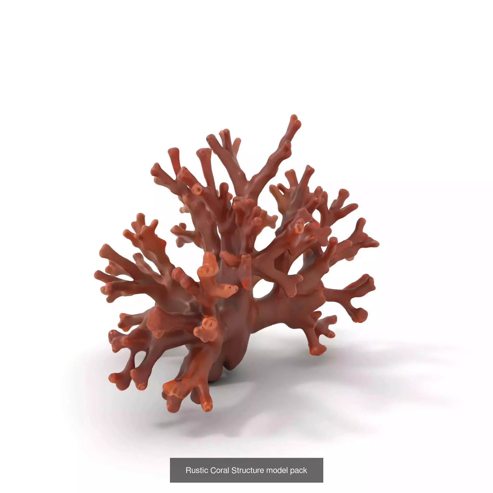 Exquisite Coral Wonders 3D Model Collection_40