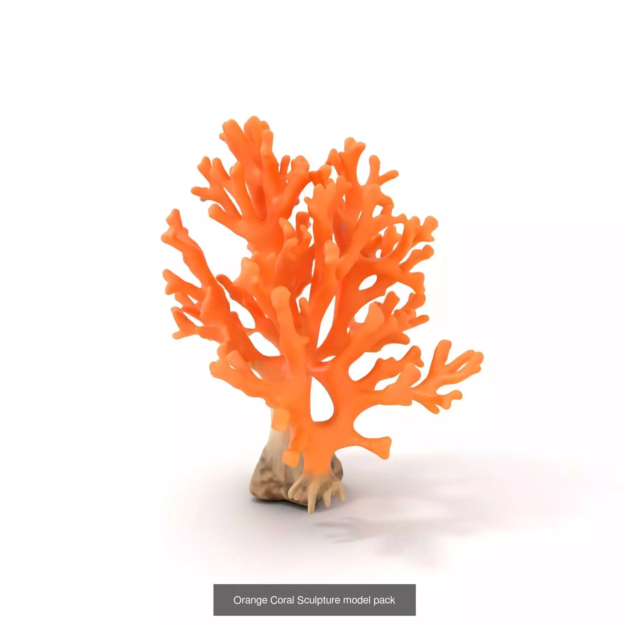 Exquisite Coral Wonders 3D Model Collection_35