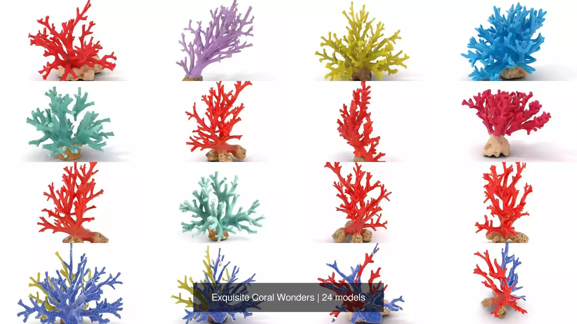 Exquisite Coral Wonders 3D Model Collection_28
