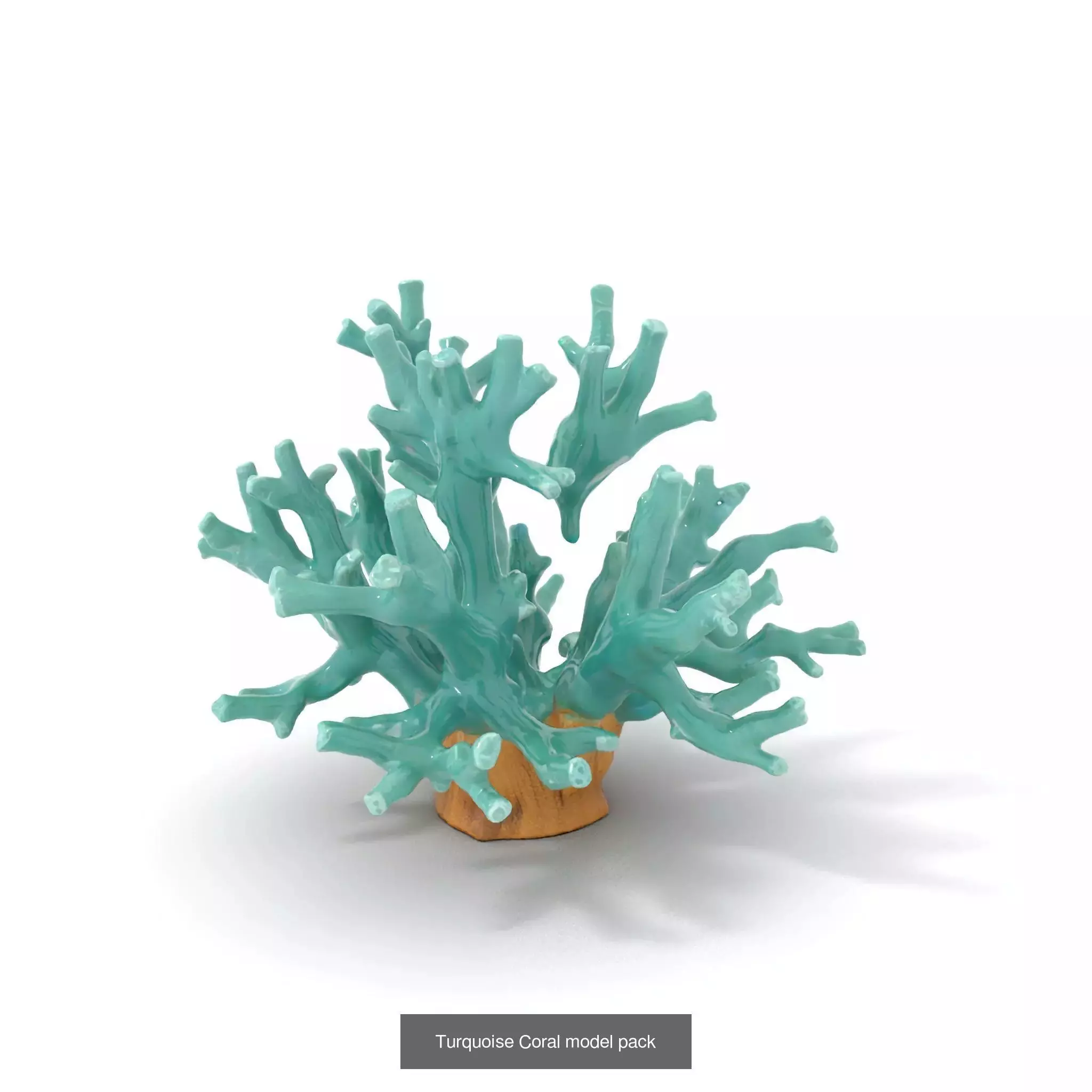 Exquisite Coral Wonders 3D Model Collection_49