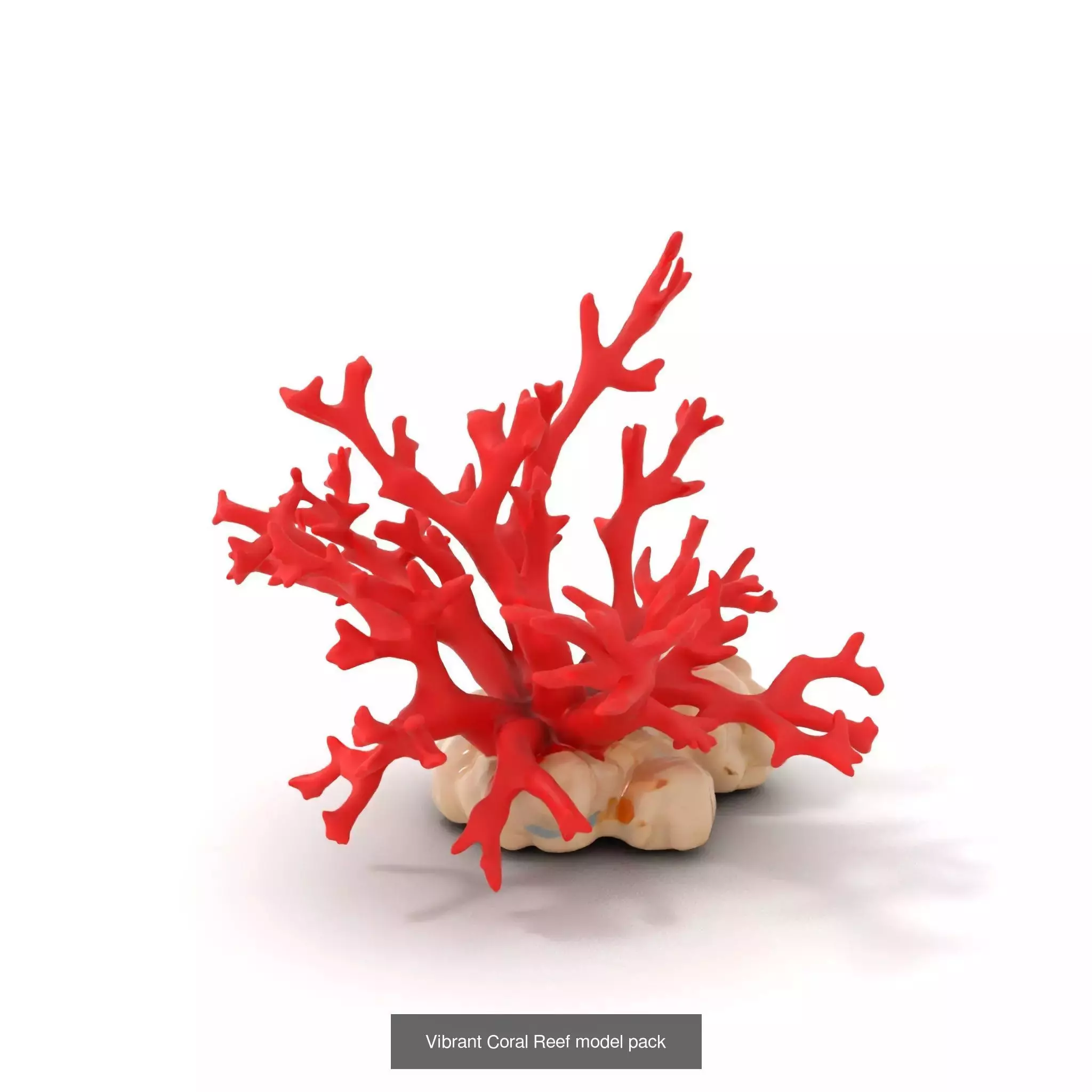Exquisite Coral Wonders 3D Model Collection_45