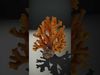 Exquisite Coral Wonders 3D Model Collection_9