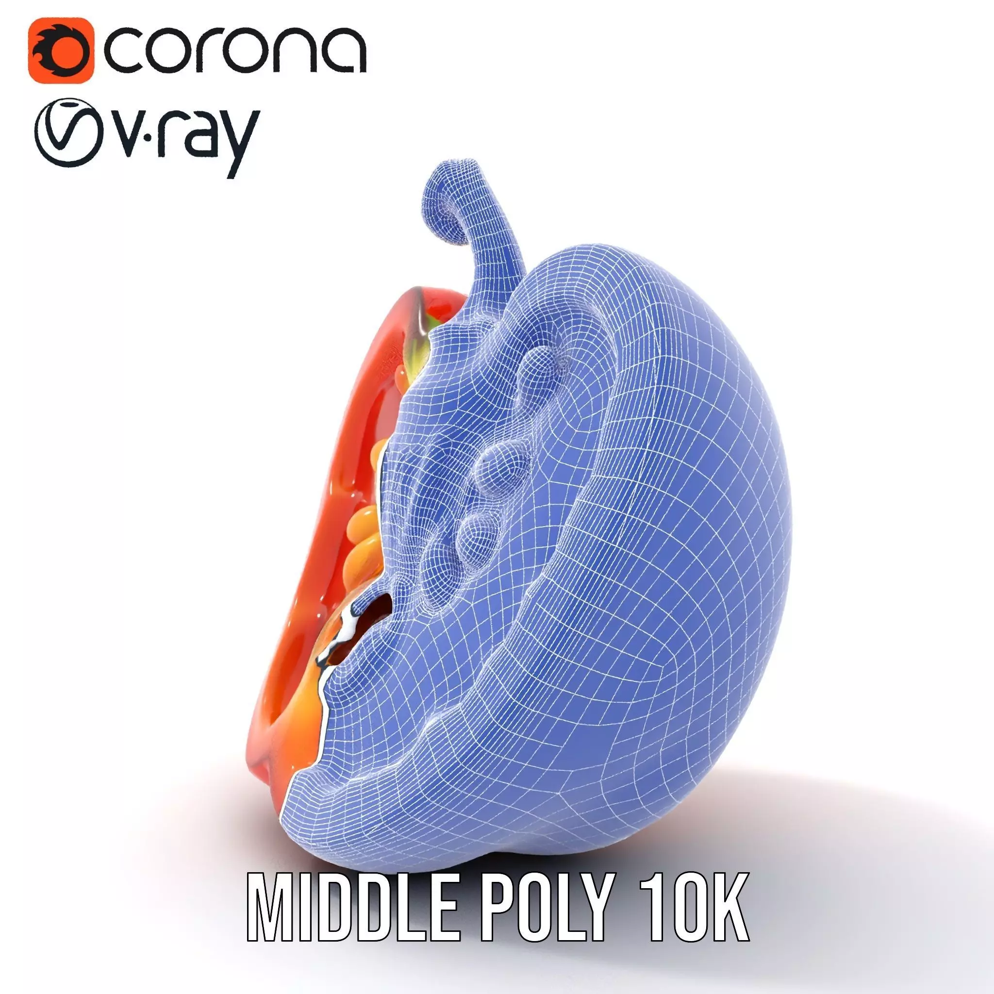 Vibrant Pepper Slice model pack Low-poly 3D model_26