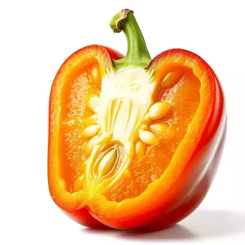 Vibrant Pepper Slice model pack Low-poly 3D model 2