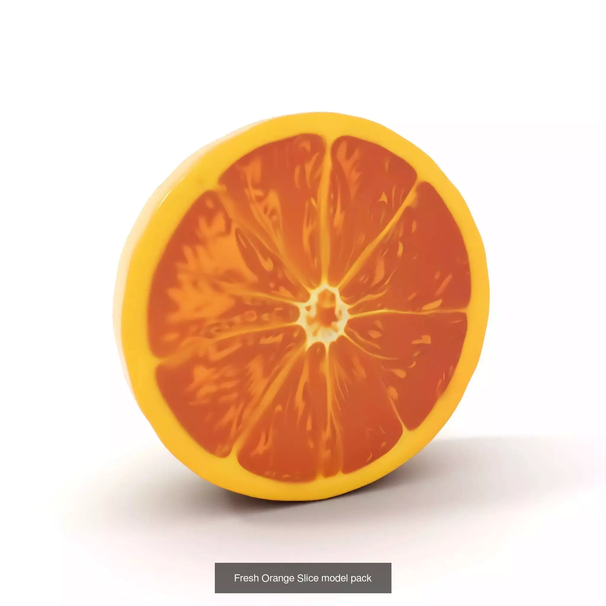 Vivid Fruit Model Collection _22