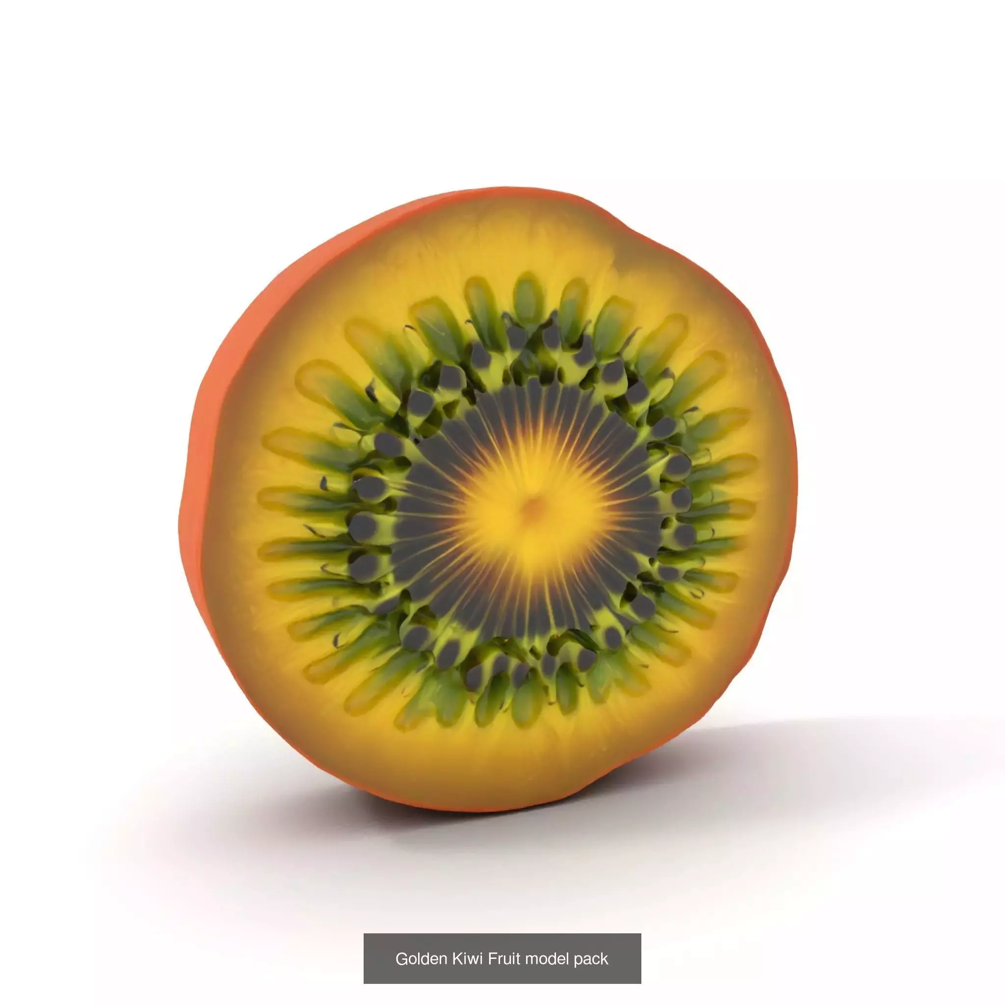 Vivid Fruit Model Collection _23