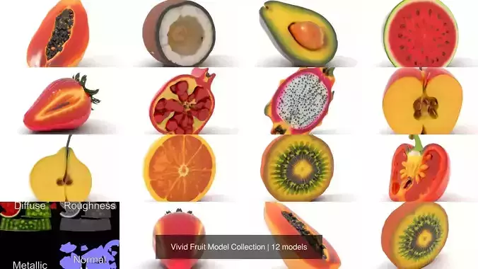 Vivid Fruit Model Collection 